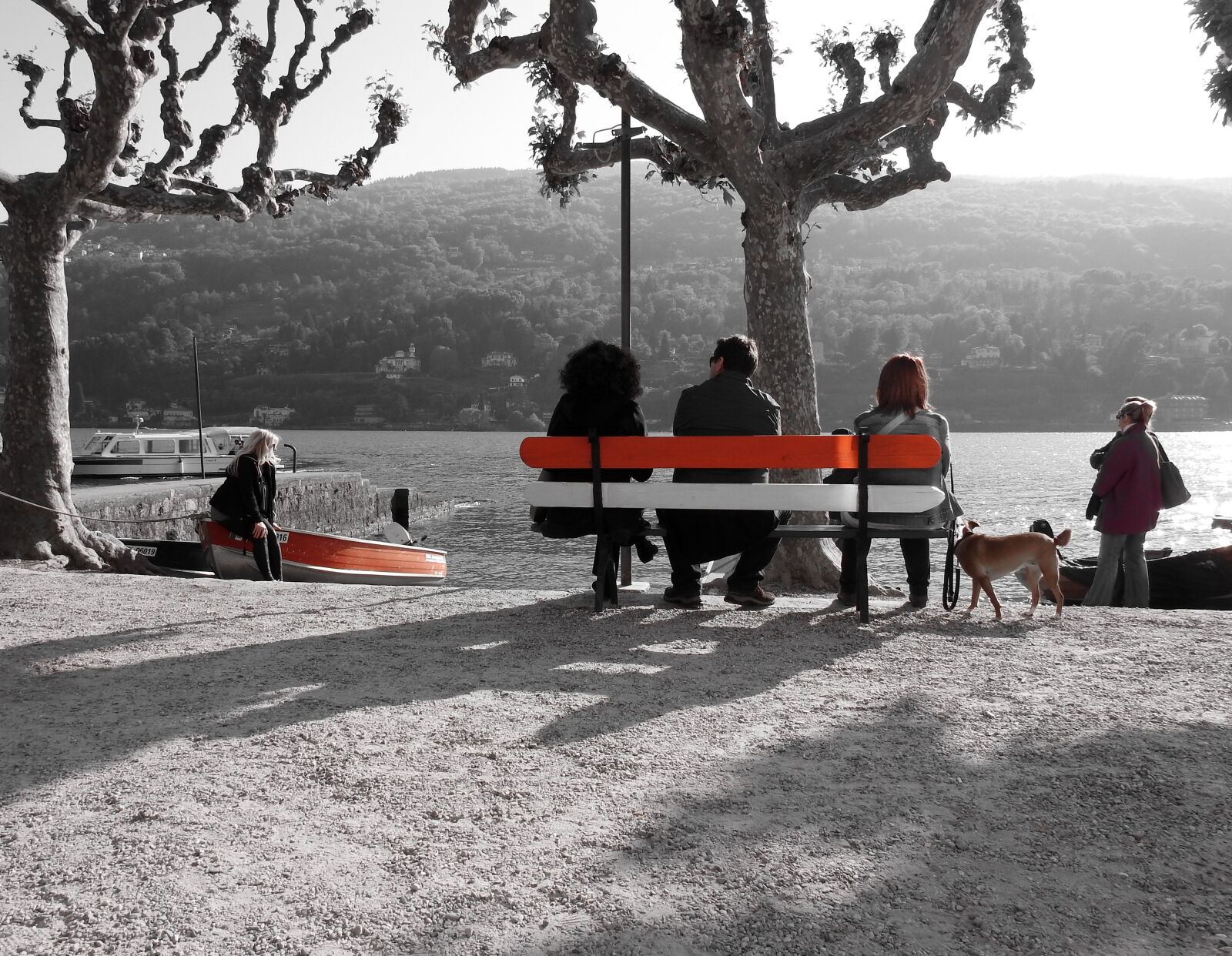 Nikon Coolpix P900 sample photo. Lake, bench, lake front photography