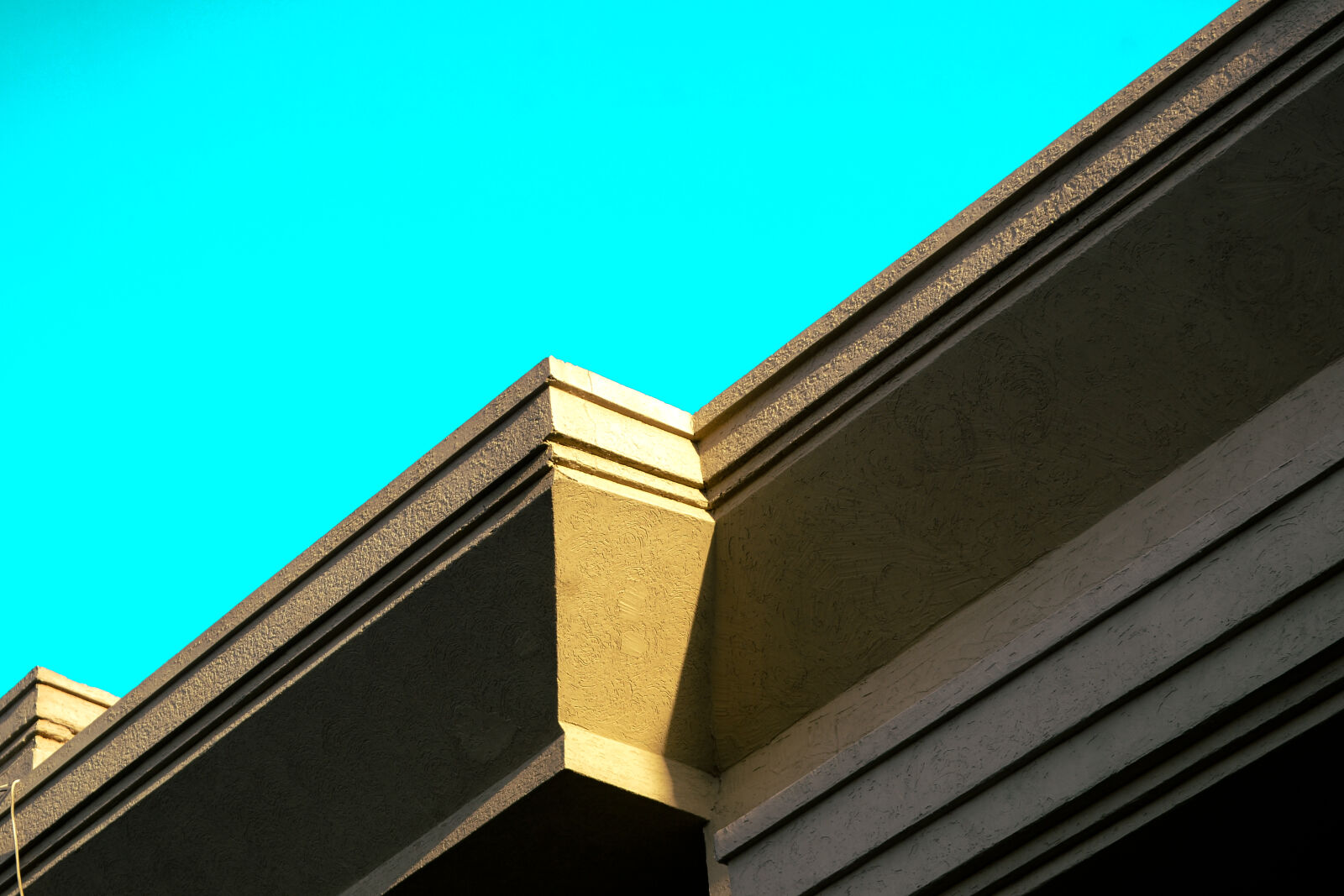 Nikon D3100 sample photo