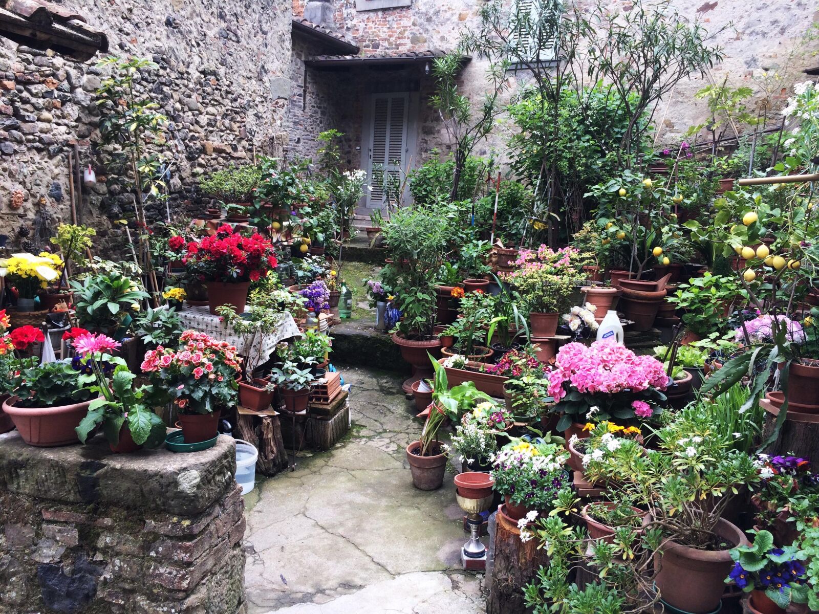 iPhone 5s back camera 4.15mm f/2.2 sample photo. Anghiari, tuscan village, tuscany photography