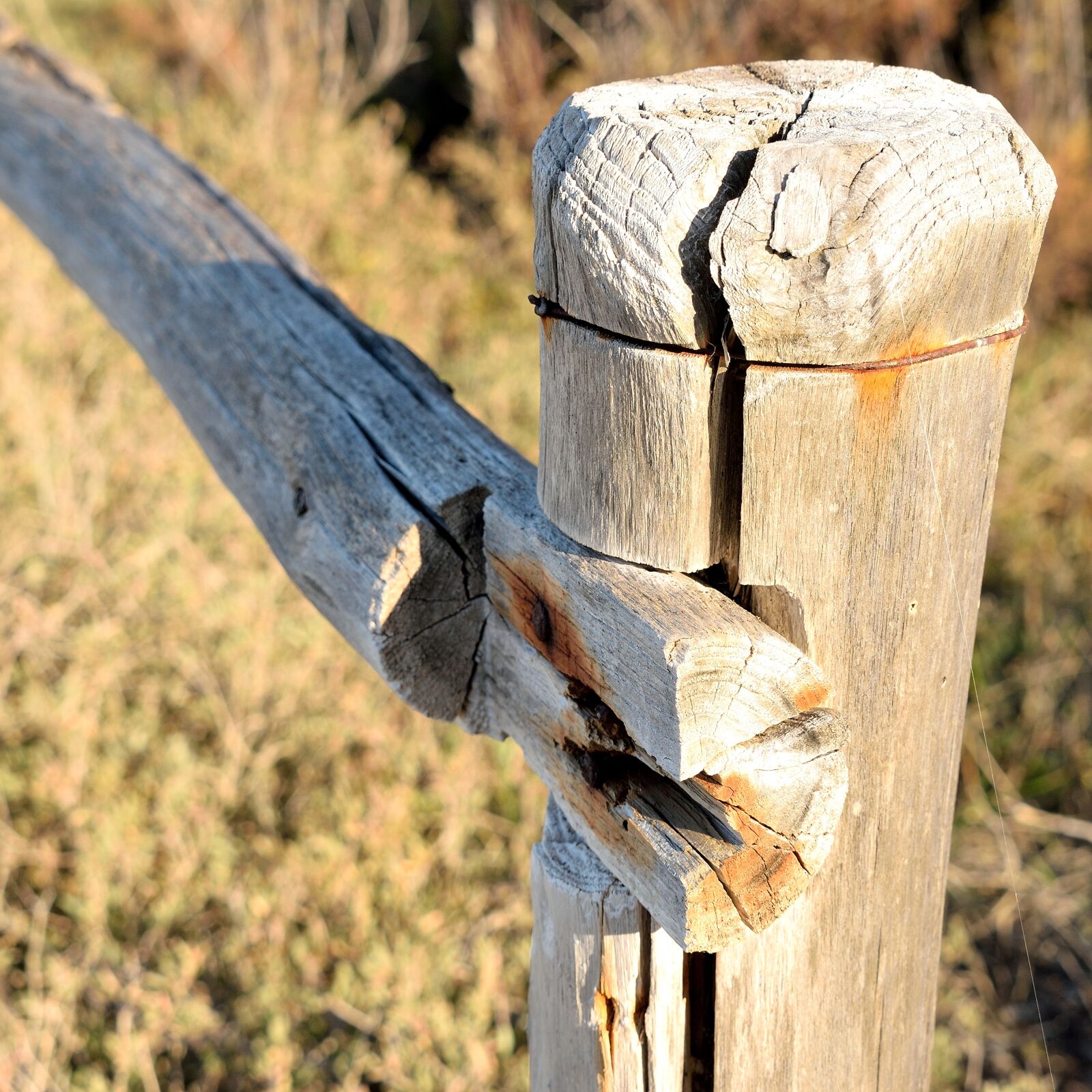Nikon D3300 sample photo. Fence, wood, woodwind photography