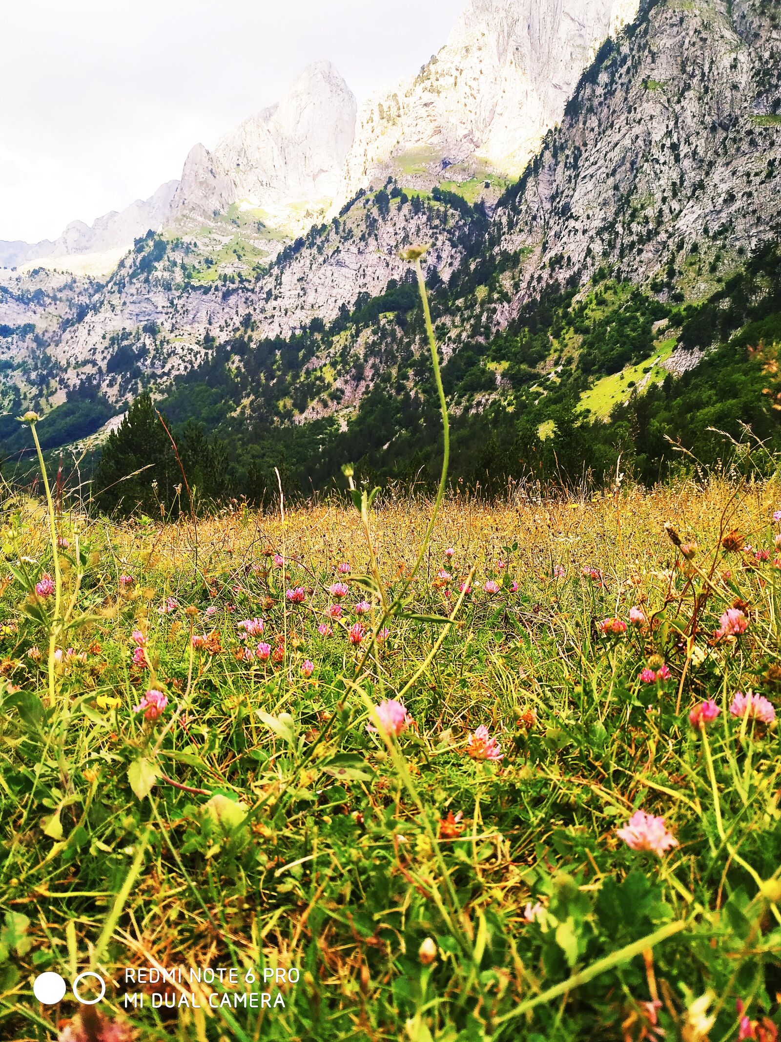 Xiaomi Redmi Note 6 Pro sample photo. Mountains, herbs, prairie photography