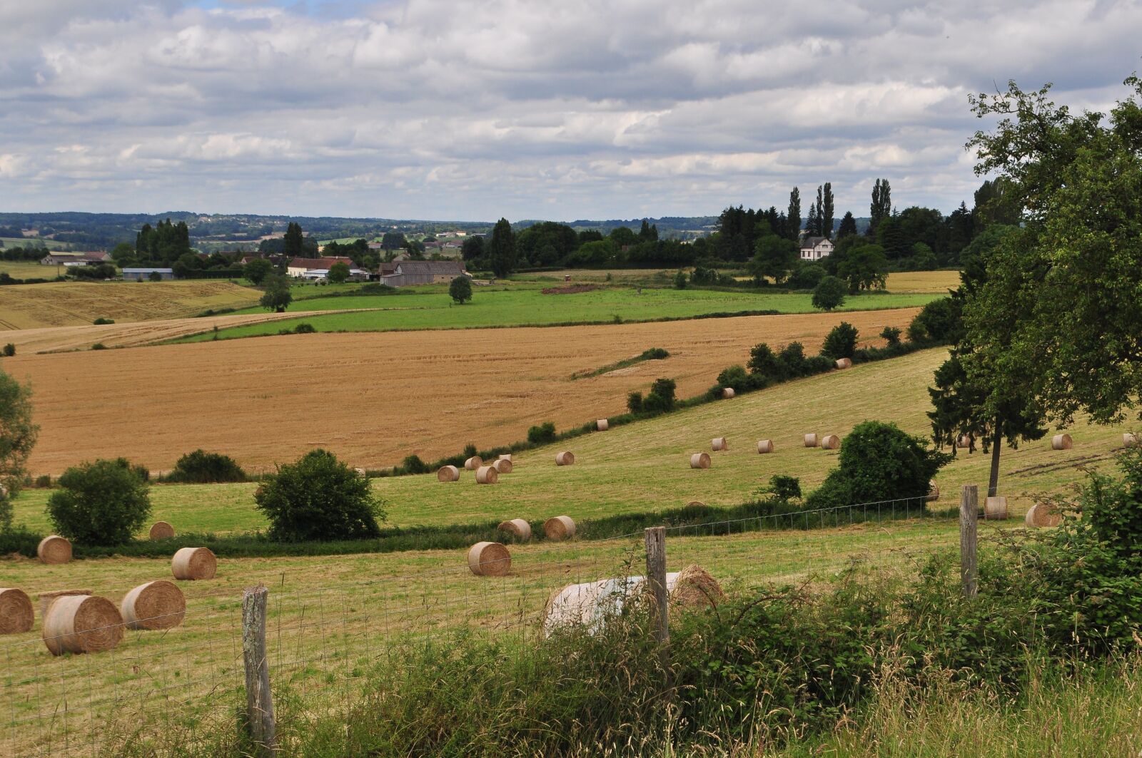 Nikon D5000 sample photo. Country, grass, fields photography