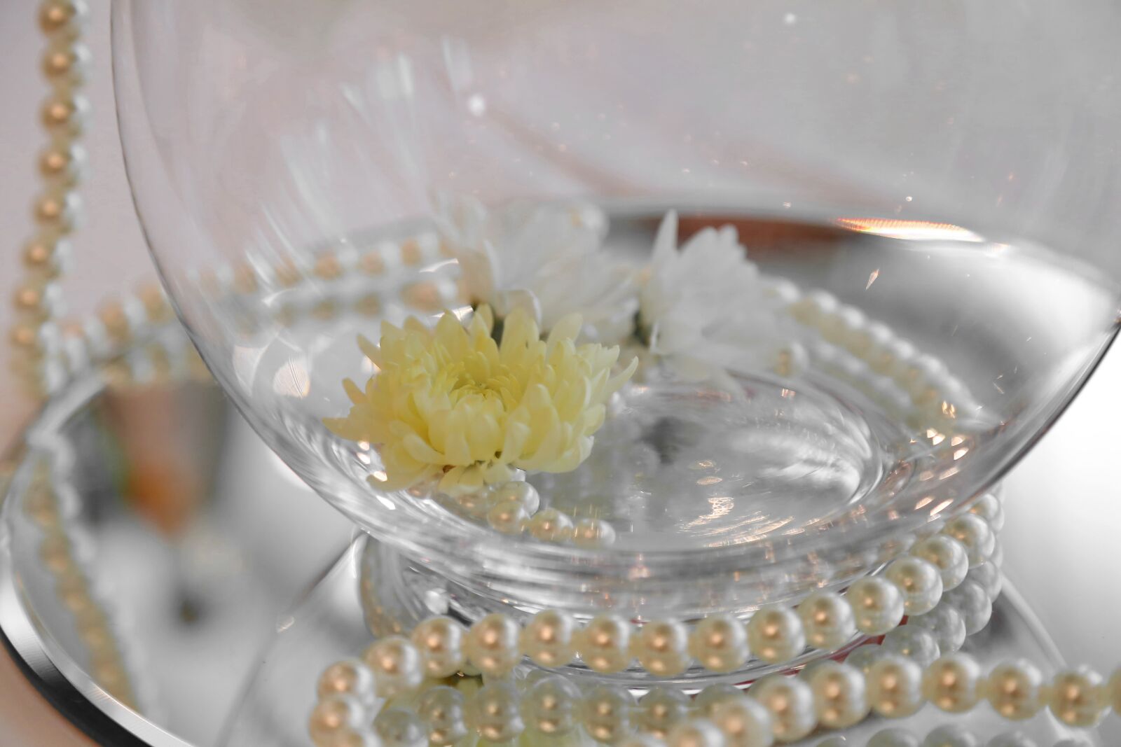 Canon EF 24-105mm F4L IS USM sample photo. Crystal, elegance, flower, glass photography