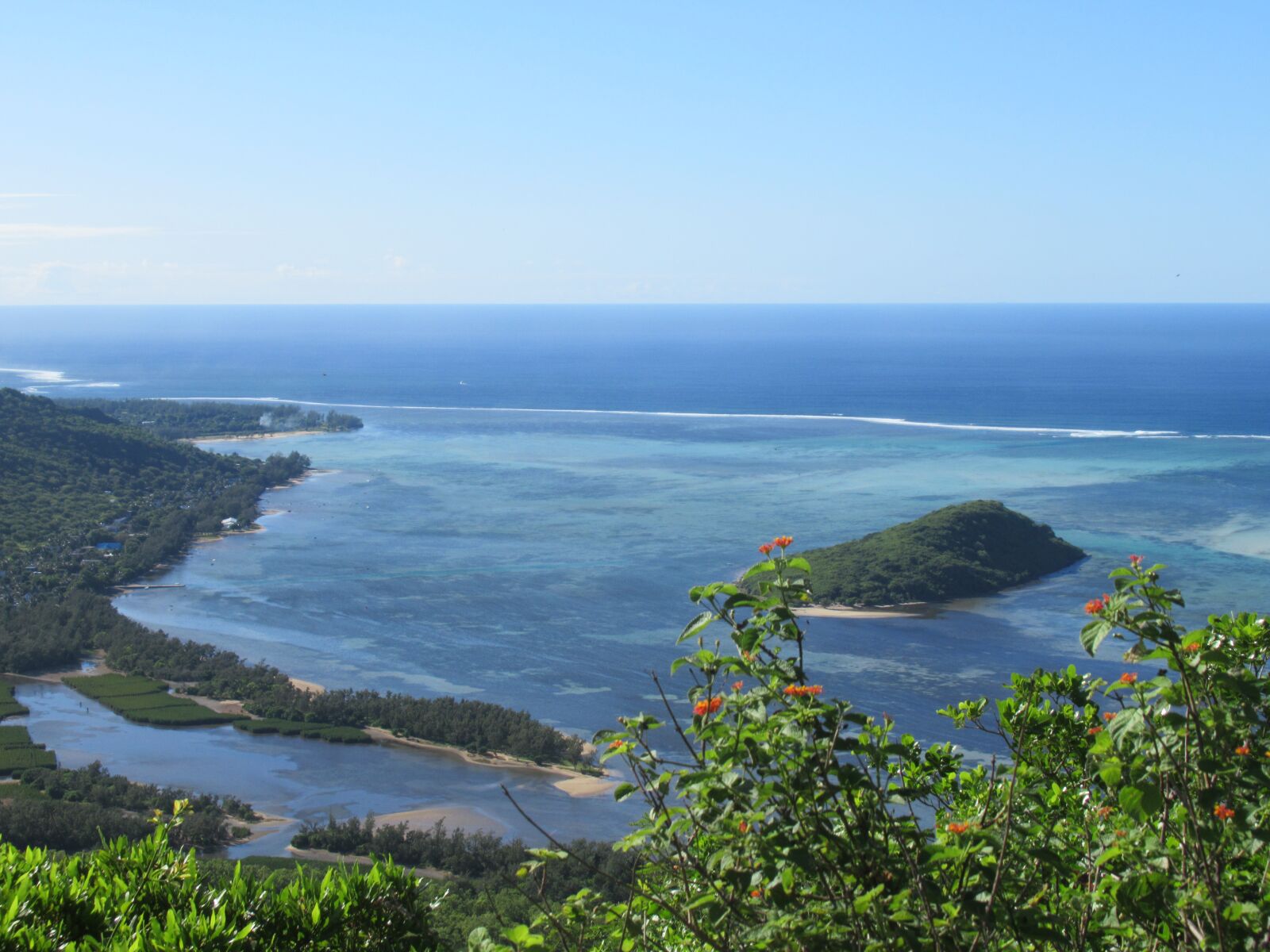 Canon PowerShot SX620 HS sample photo. Bush, island, sea photography