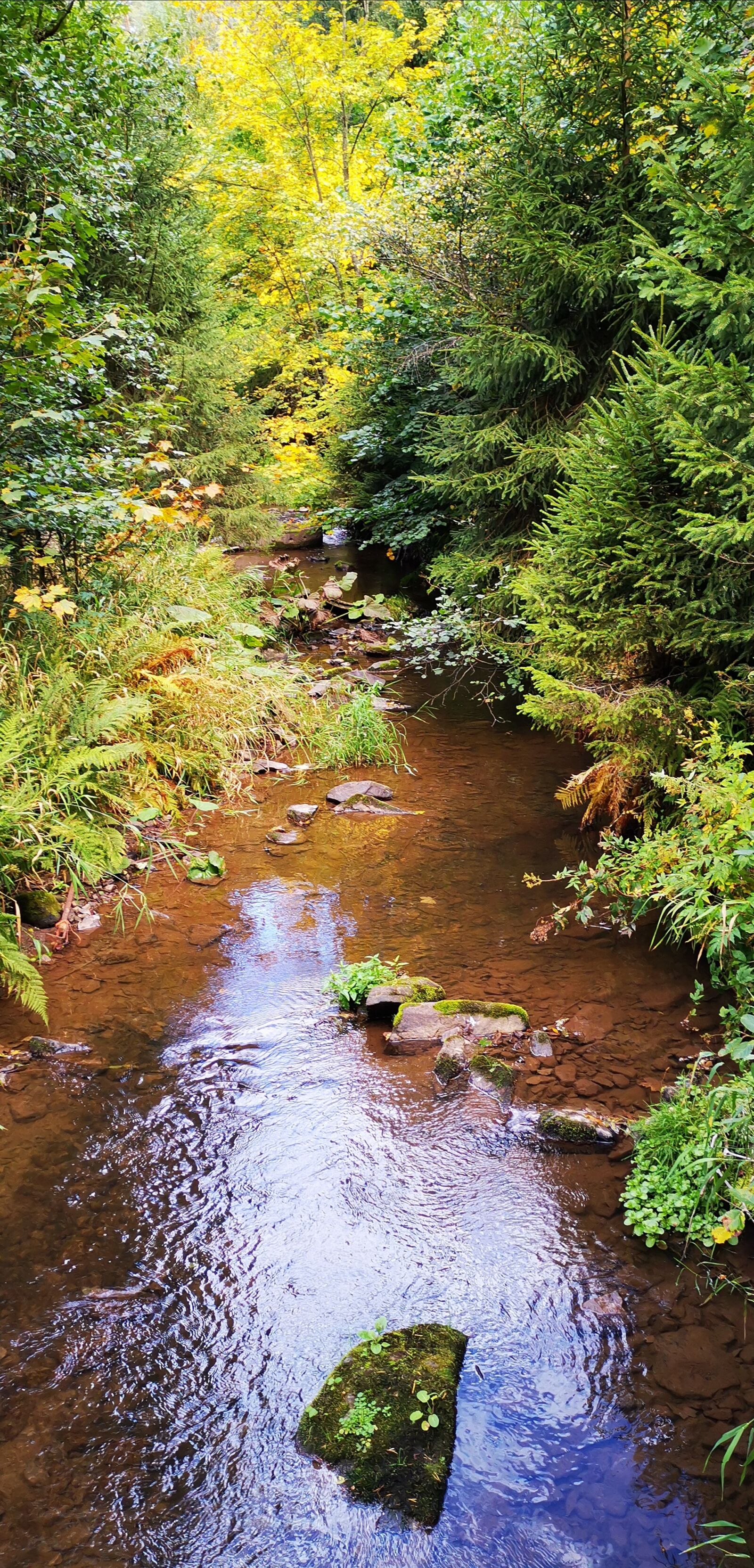 HUAWEI HMA-L29 sample photo. Black forest, wutach gorge photography