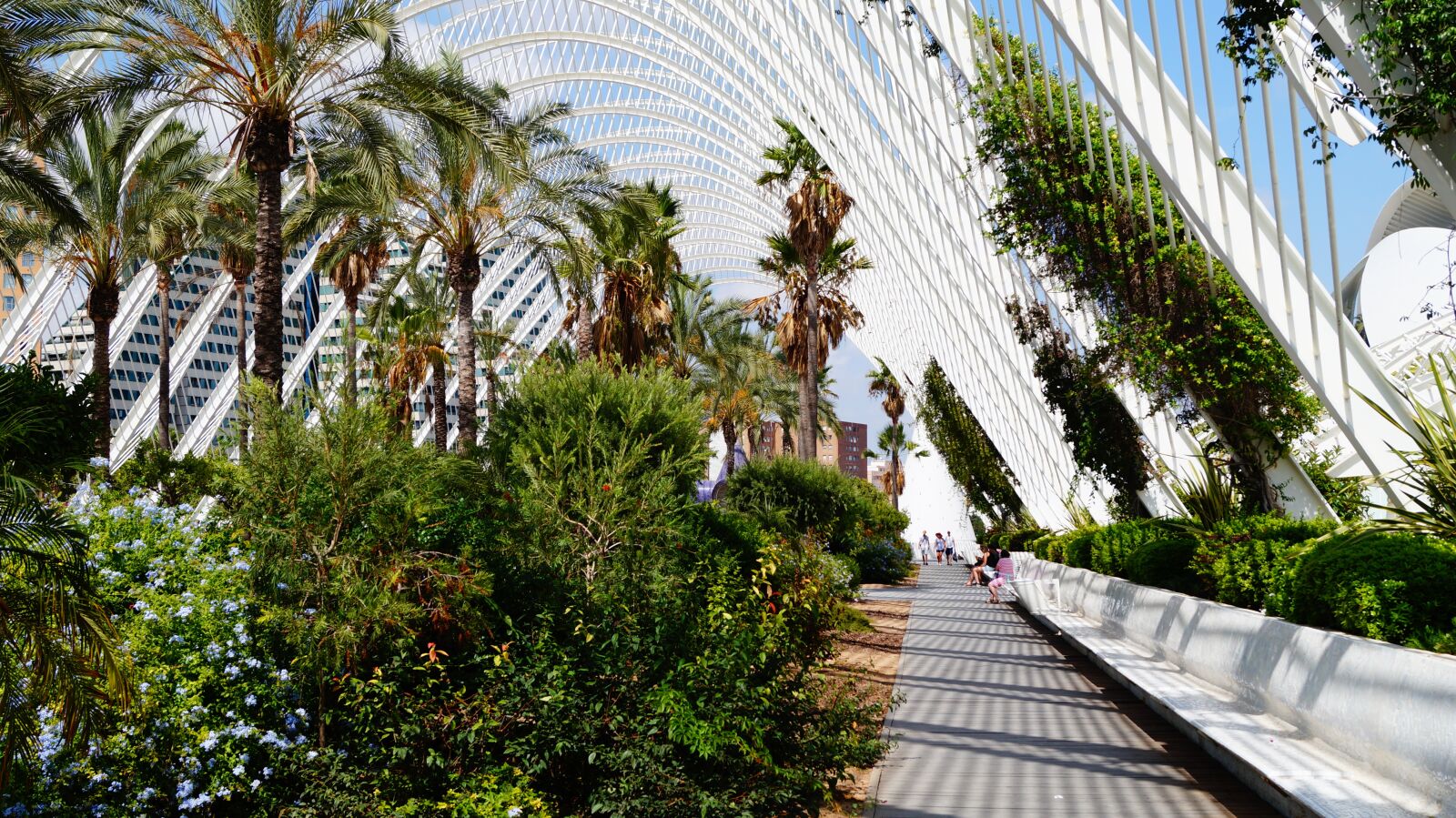 Sony DT 18-55mm F3.5-5.6 SAM II sample photo. Spain, valencia, plants photography