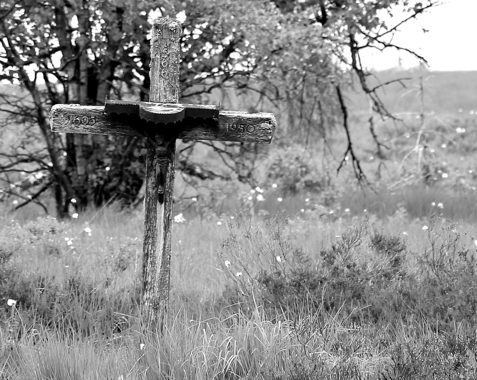 Canon EOS 550D (EOS Rebel T2i / EOS Kiss X4) sample photo. High venn, belgium, germany photography