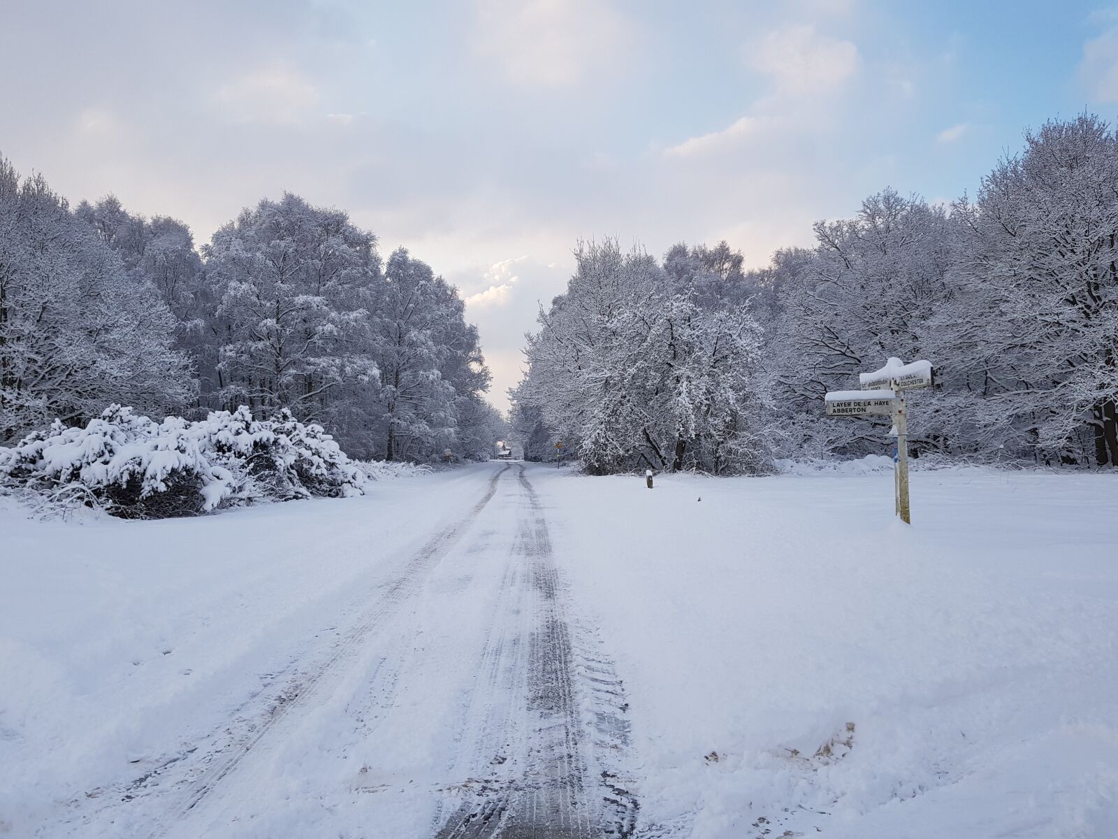 Samsung Galaxy S8 sample photo. Snow, winter, frozen photography