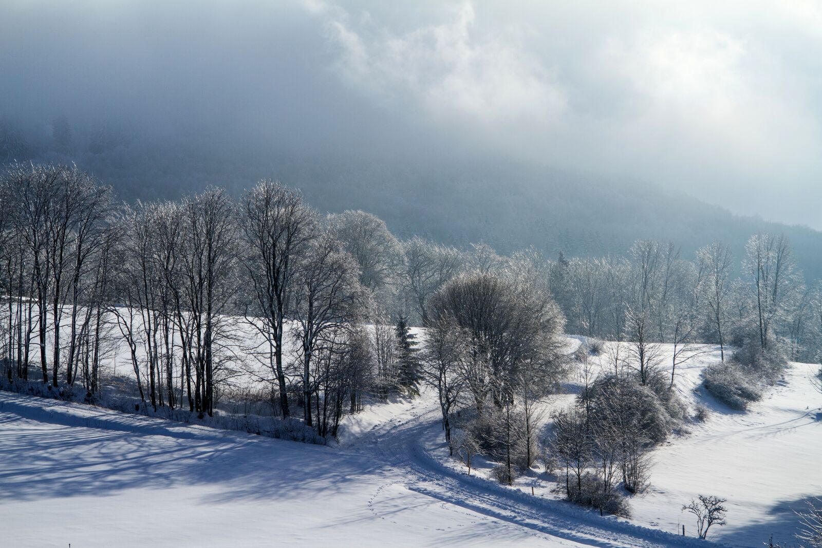 Canon EOS 7D sample photo. Winter, snow, wintry photography