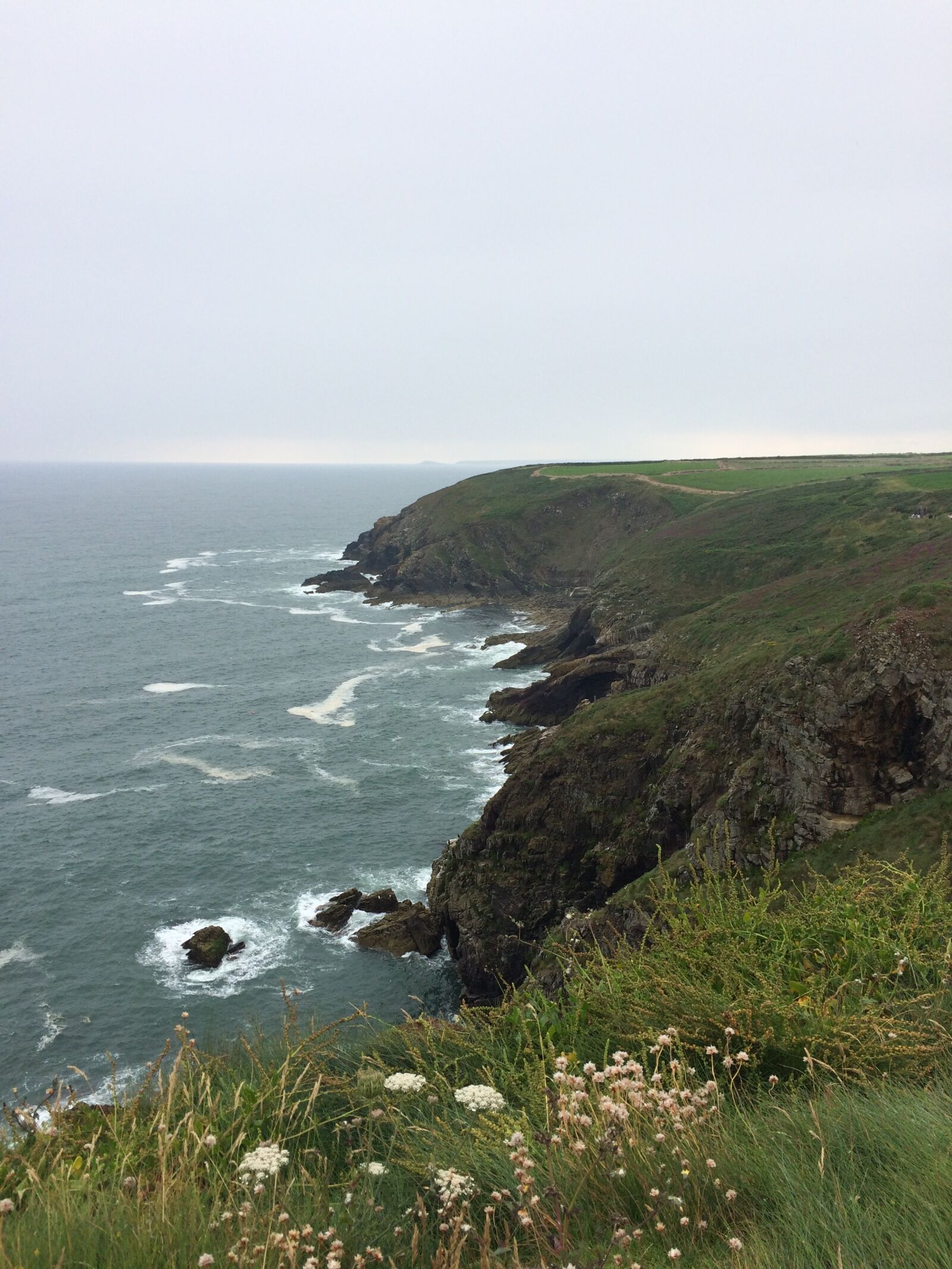iPhone 5s back camera 4.15mm f/2.2 sample photo. Ireland, coastline, green photography