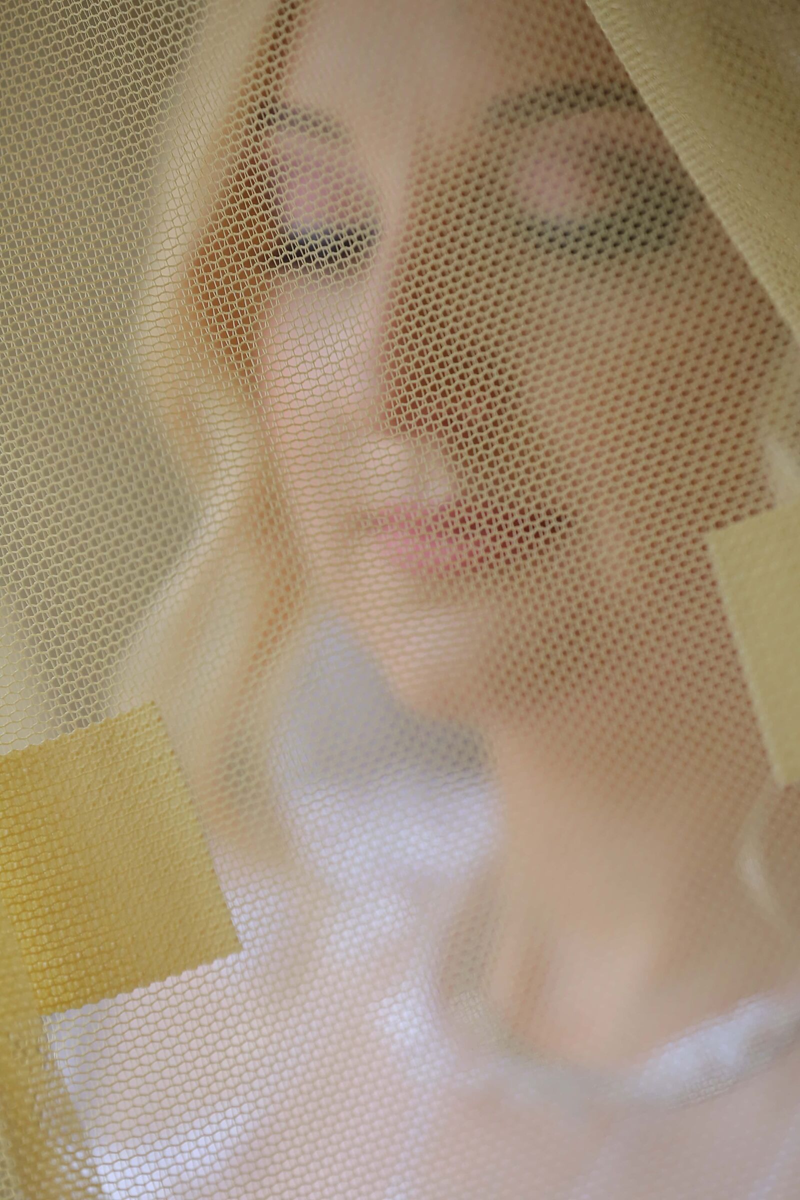 Canon EF 70-200mm F2.8L IS II USM sample photo. Bride, veil, face, texture photography
