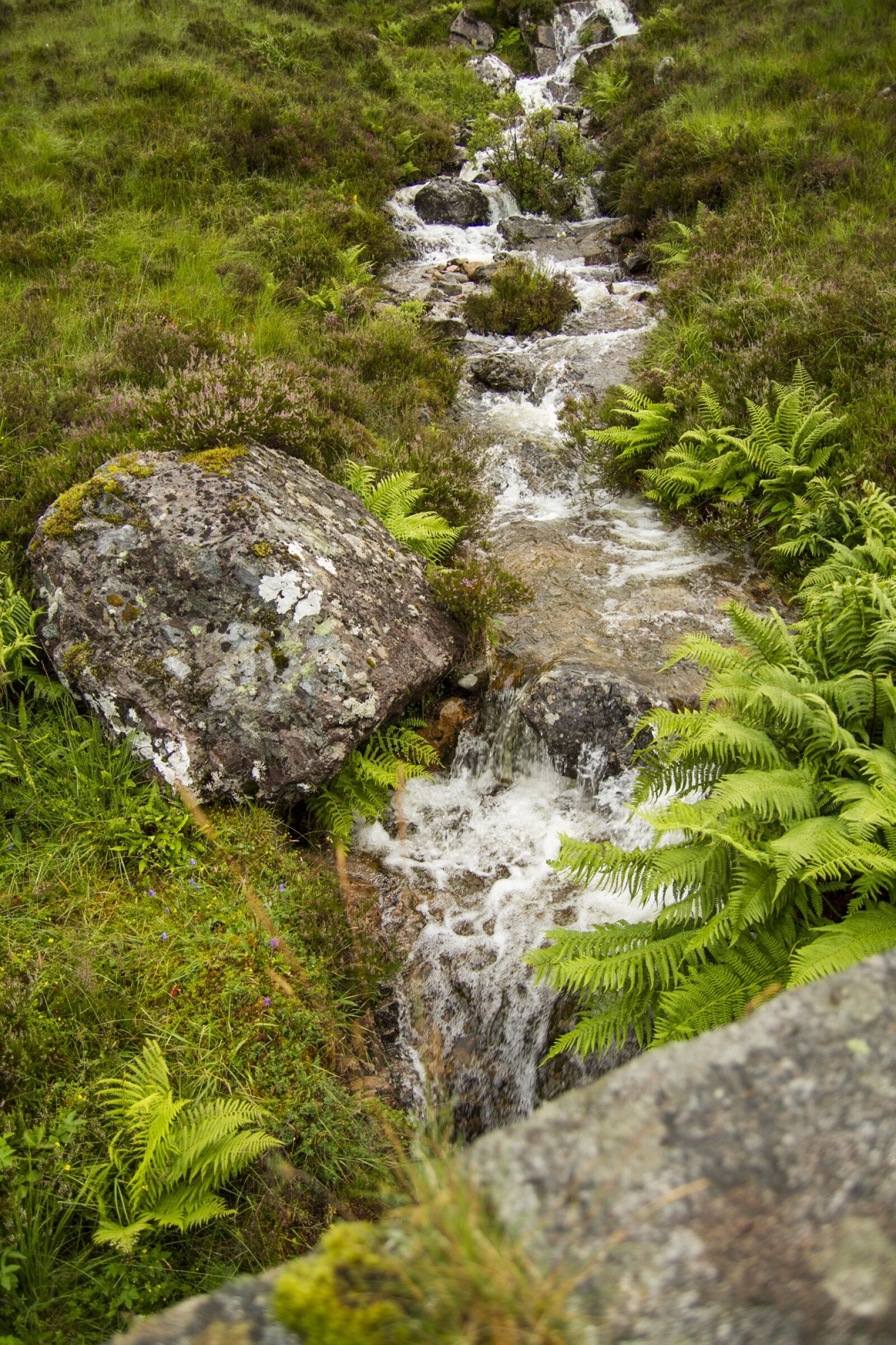 Tamron SP AF 17-50mm F2.8 XR Di II LD Aspherical (IF) sample photo. Brooke, water, stream photography