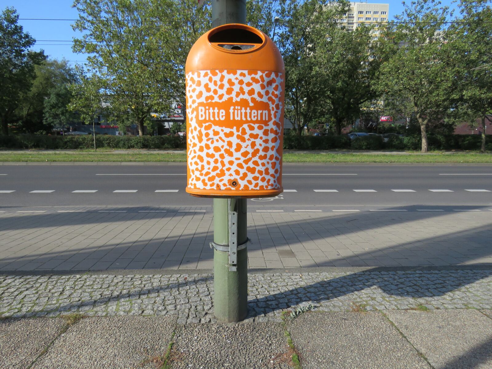 Canon PowerShot SX60 HS sample photo. Garbage can, please, feed photography