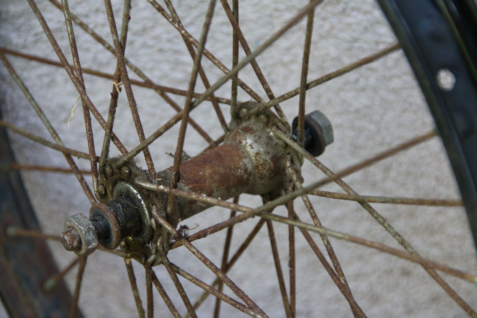 Canon EOS 70D sample photo. Spokes, old, rusty photography