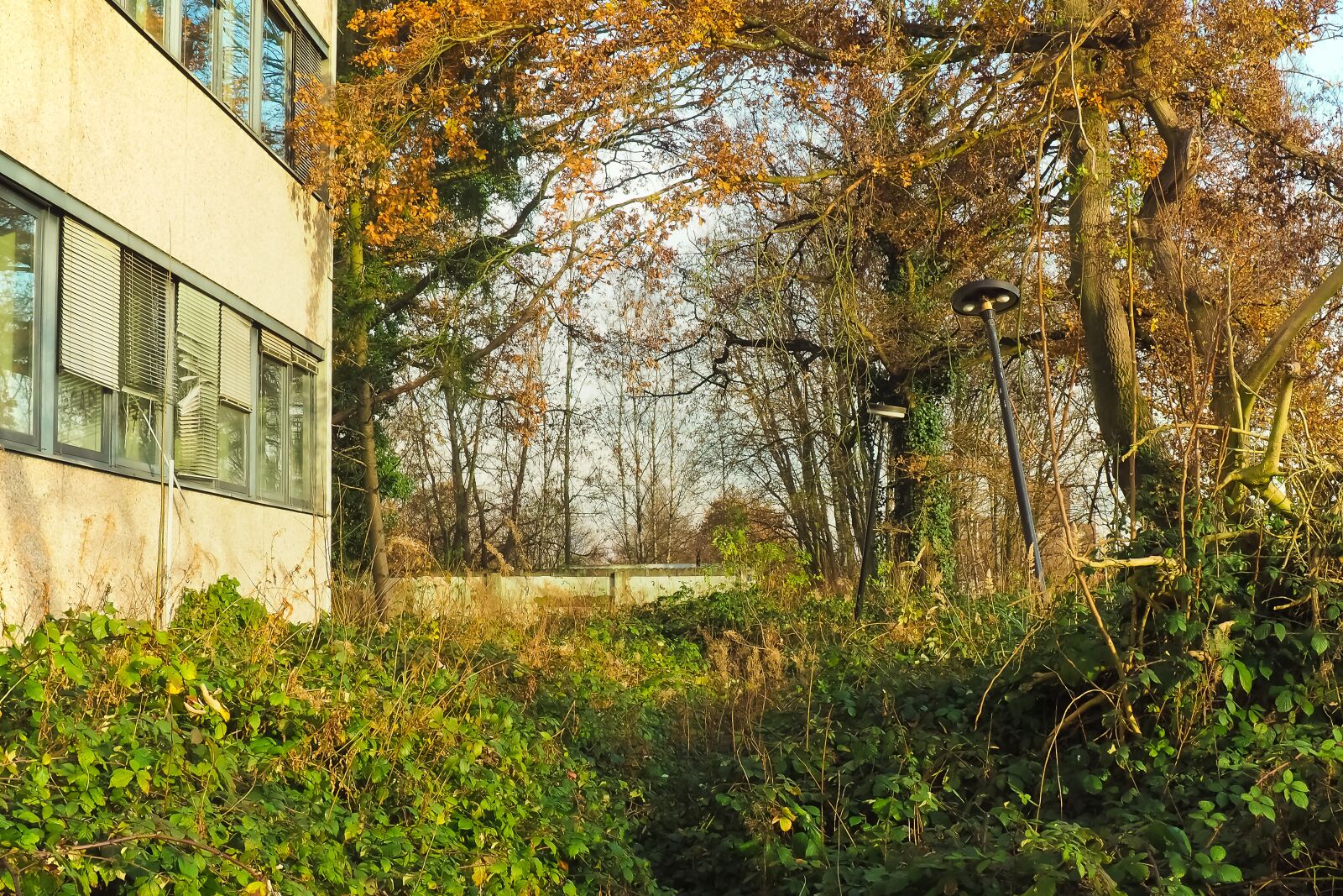 Olympus OM-D E-M10 sample photo. Lost places, terrain, old photography