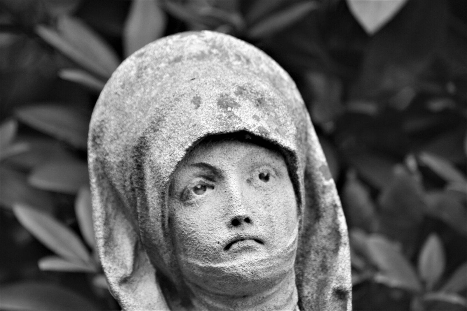 Canon EOS 1000D (EOS Digital Rebel XS / EOS Kiss F) sample photo. Sculpture, rock carving, angel photography