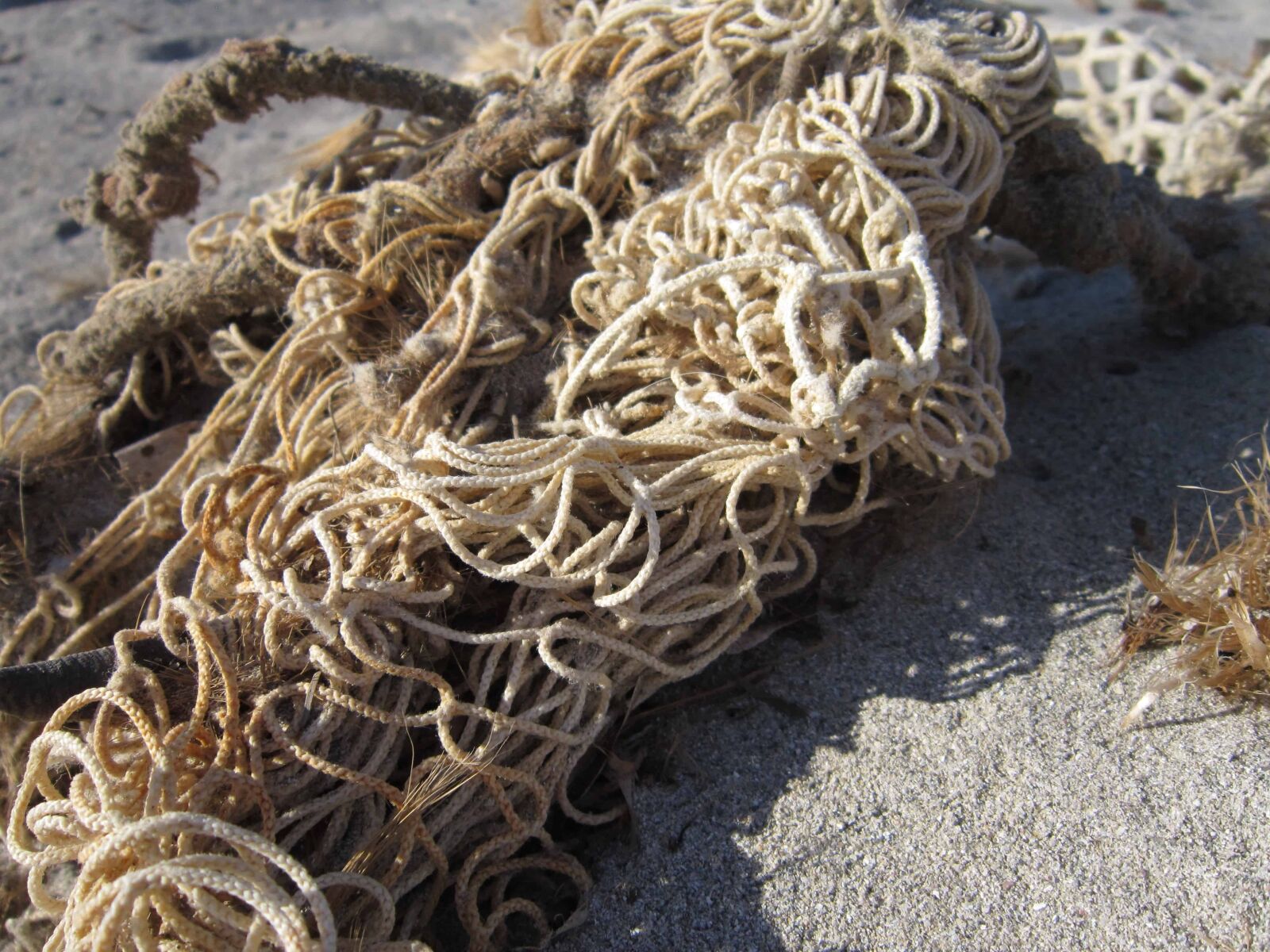 Canon PowerShot A3200 IS sample photo. Rope, ground, daylight, outdoor photography