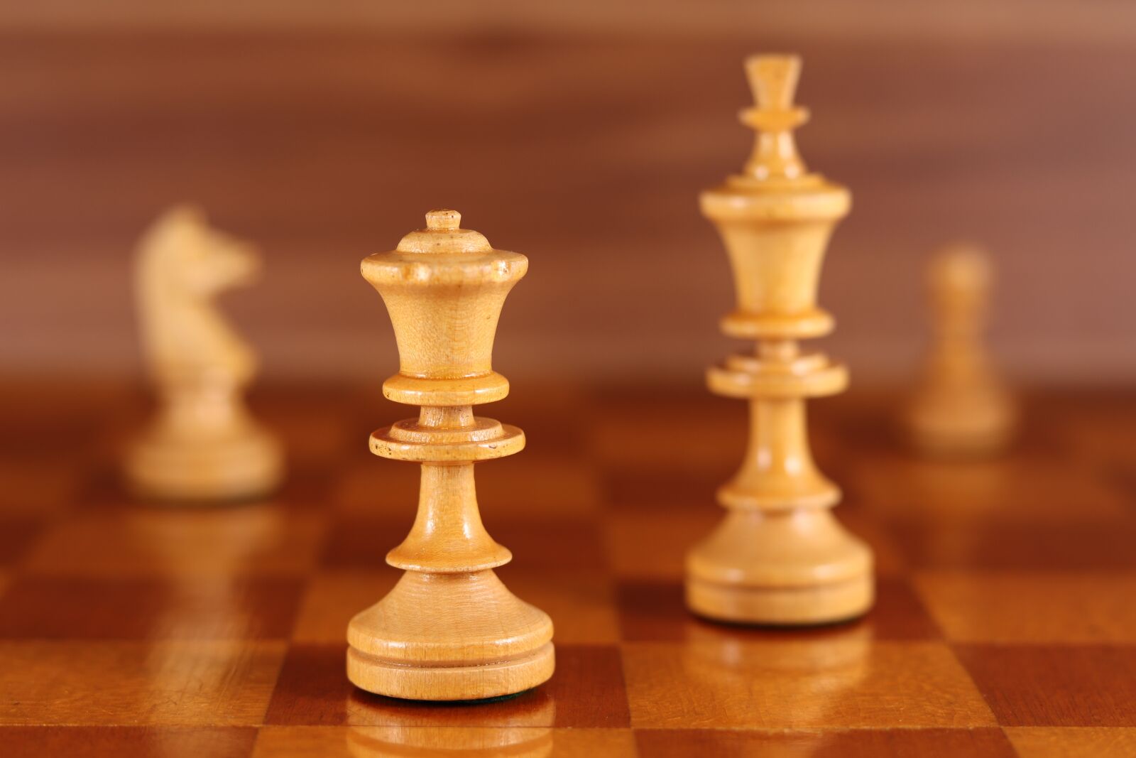 Canon EOS 800D (EOS Rebel T7i / EOS Kiss X9i) + Canon EF 50mm F1.8 STM sample photo. Lady, chess, figure photography