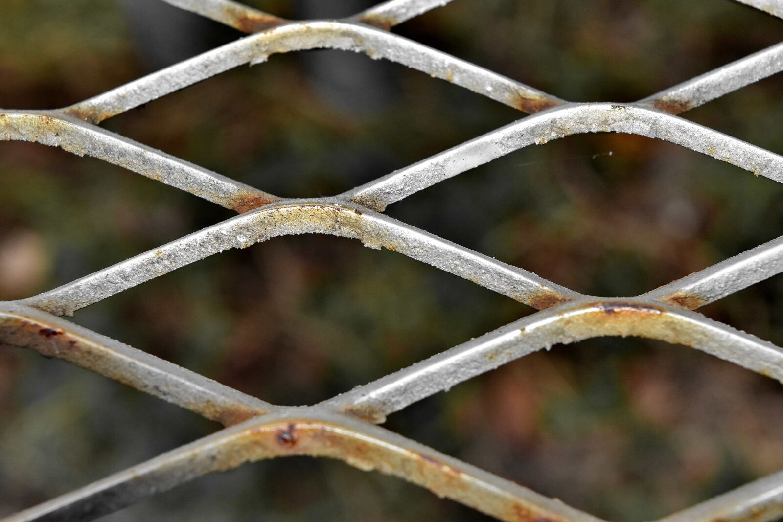 Nikon D5500 sample photo. Cast iron, fence, iron photography
