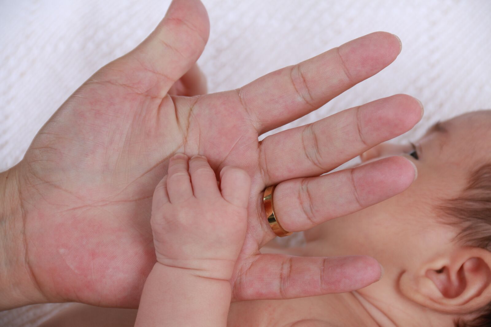 Canon EF-S 18-135mm F3.5-5.6 IS sample photo. Bebe, palma, hand photography