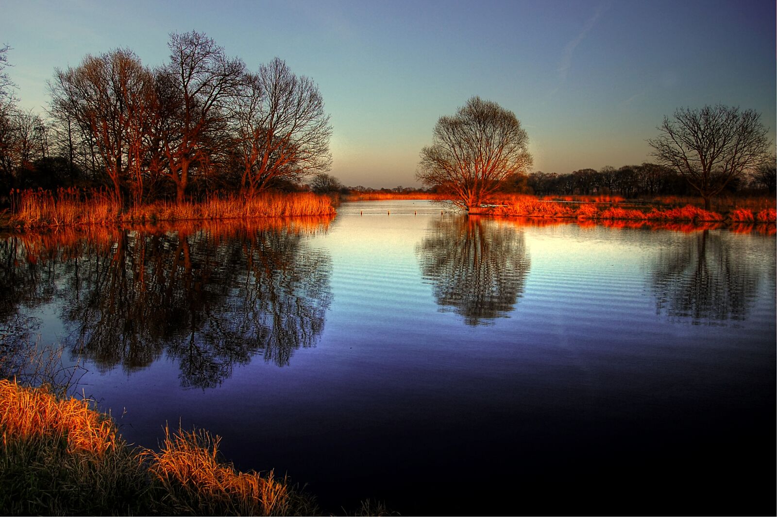 Nikon D40 sample photo. Sun, pond, water photography