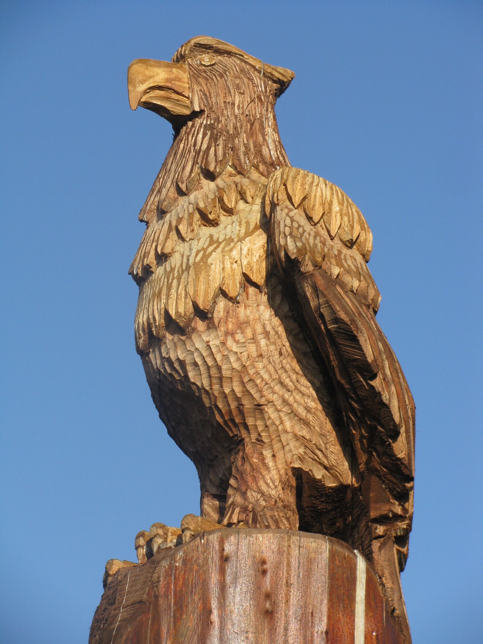 Canon POWERSHOT SX100 IS sample photo. Eagle, sculpture, castle photography