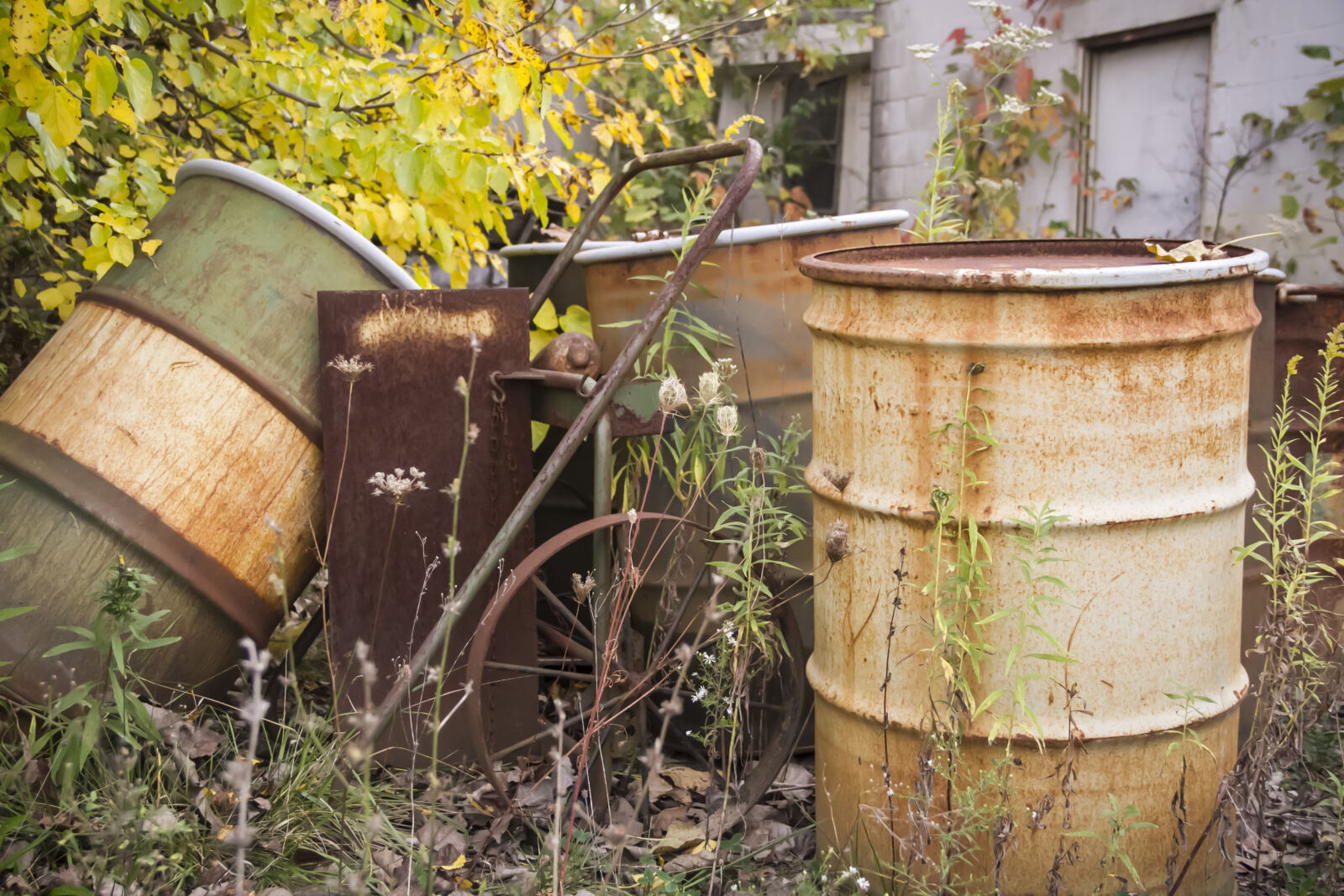 Canon EF-S 18-135mm F3.5-5.6 IS sample photo. Abandoned, barrels, fall, outdoors photography