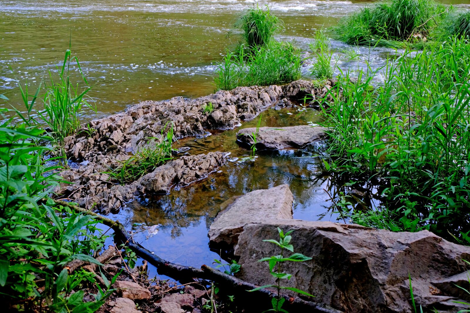 Fujifilm X-T20 sample photo. Bank, river, water photography