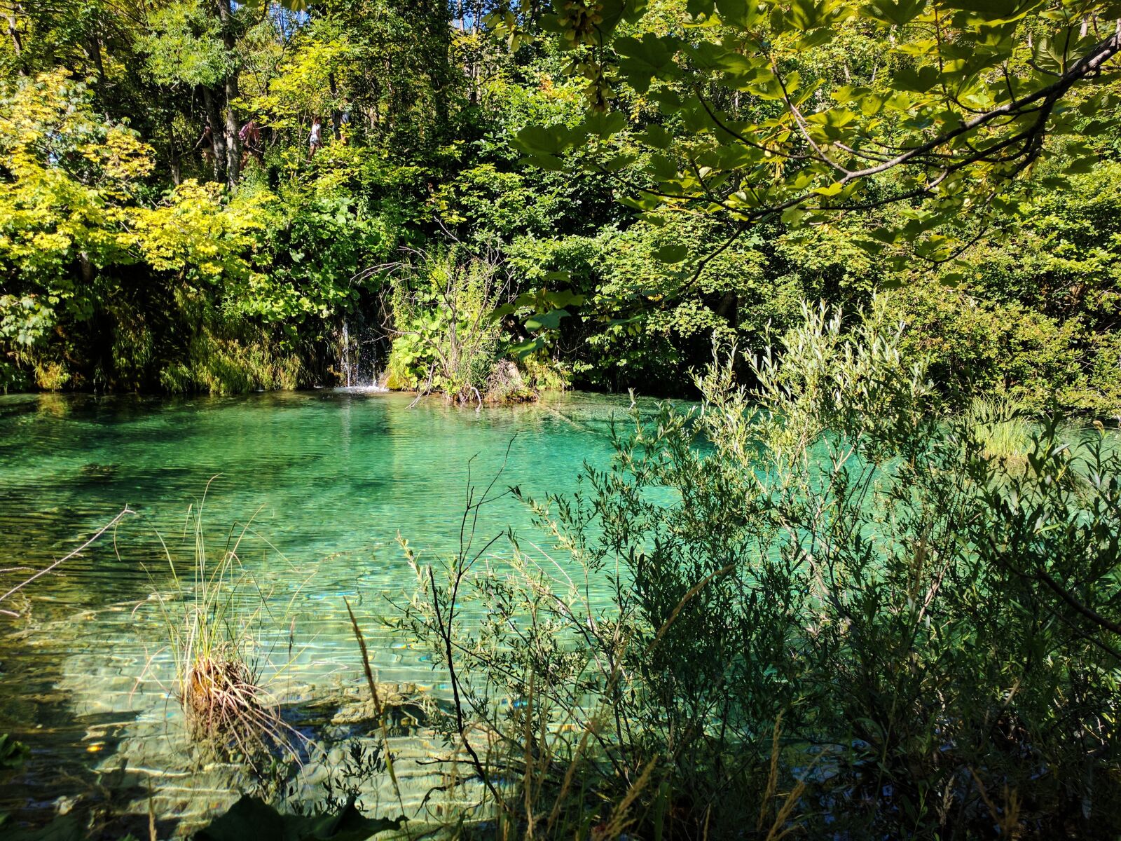 LG Nexus 5X sample photo. Croatia, park, national park photography