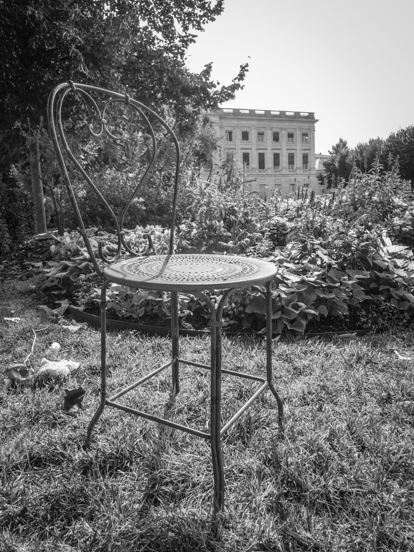 Leica D-LUX 5 sample photo. Chair, garden, lawn photography