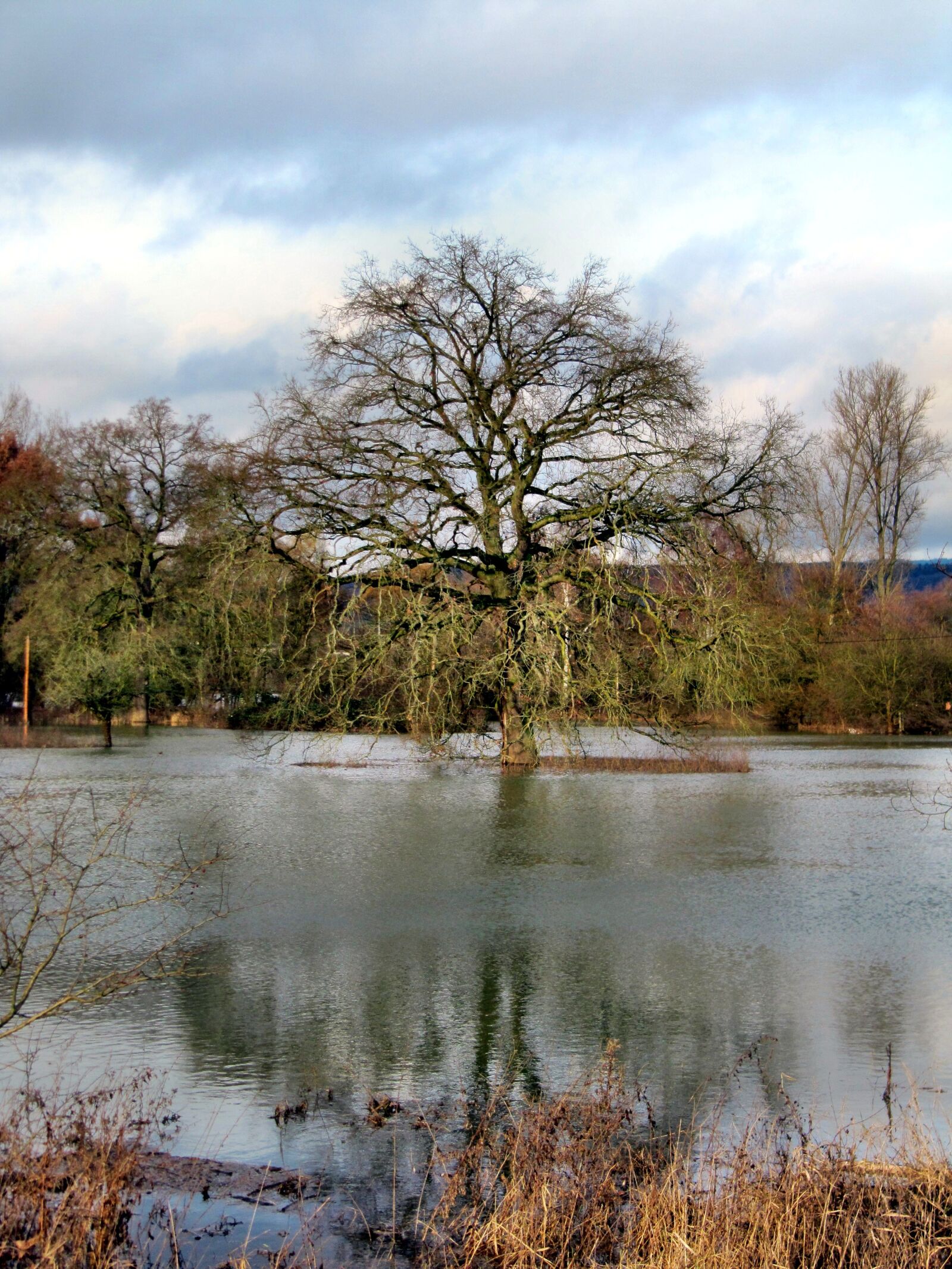 Canon PowerShot SX200 IS sample photo. Winter, high water, nature photography