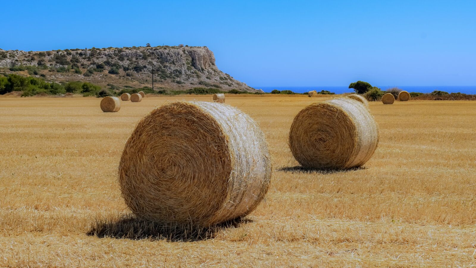 Nikon D3300 sample photo. Hay, straw, bale photography