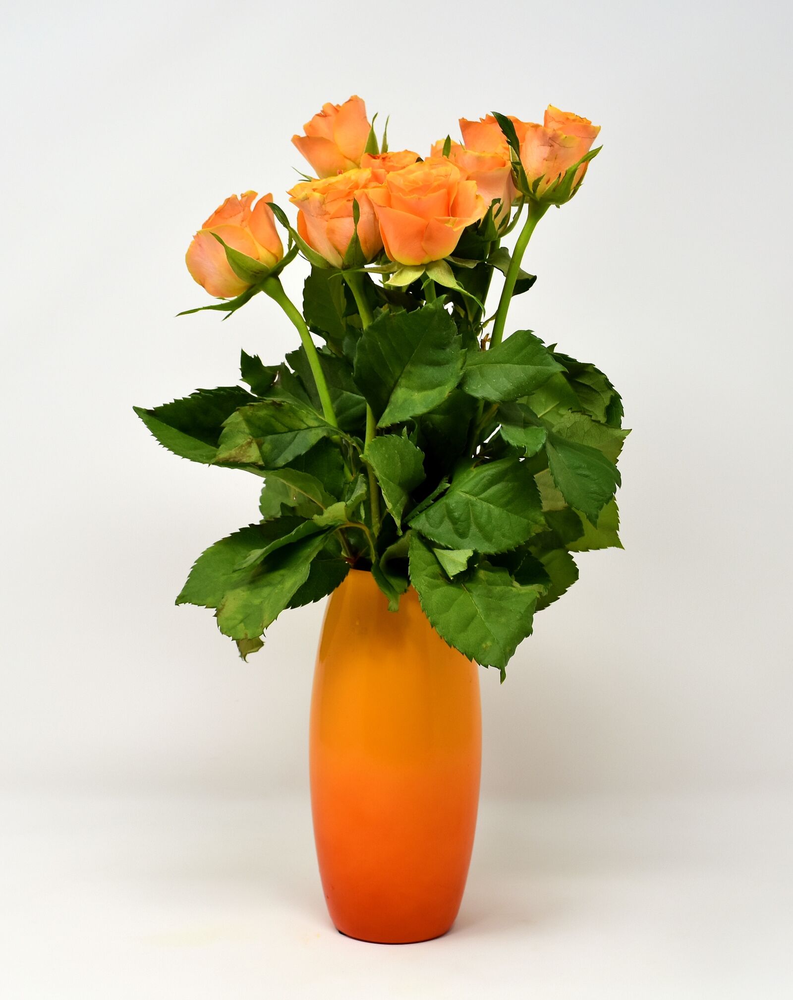 Nikon D7200 sample photo. Roses, flowers, blossom photography