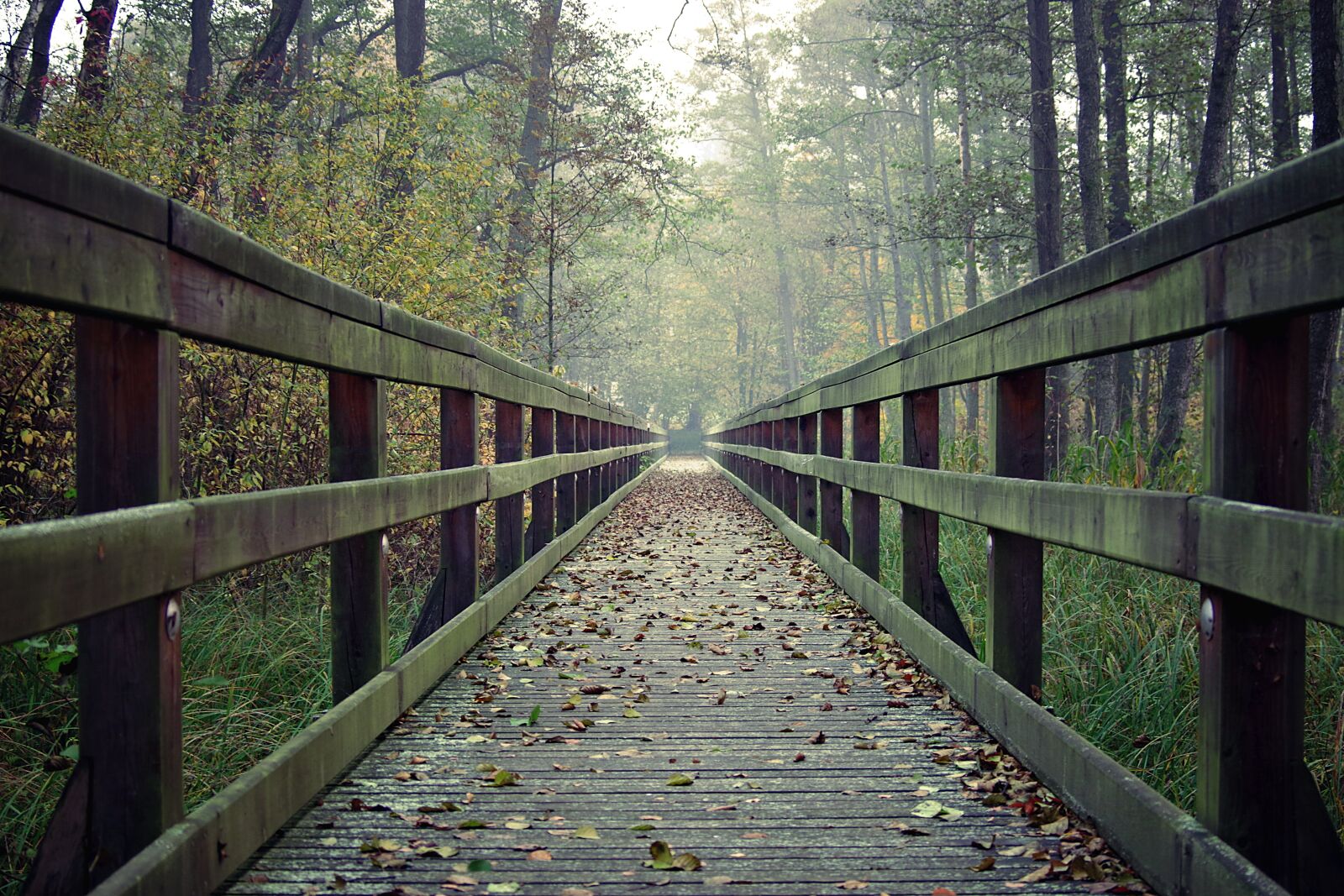 Pentax K-S2 sample photo. Bridge, long, wooden photography