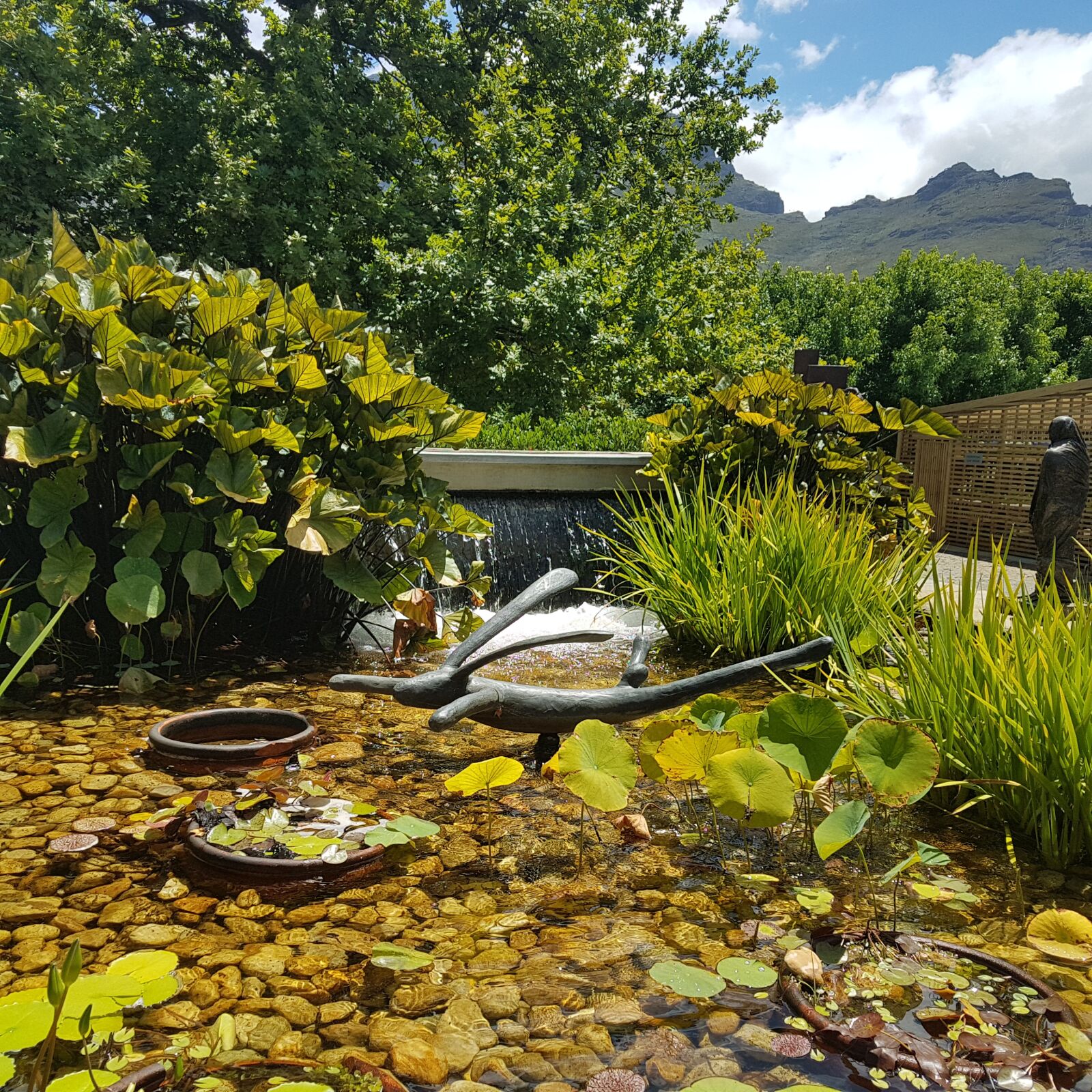 Samsung Galaxy S7 Edge sample photo. Stellenbosch, winelands, pond photography