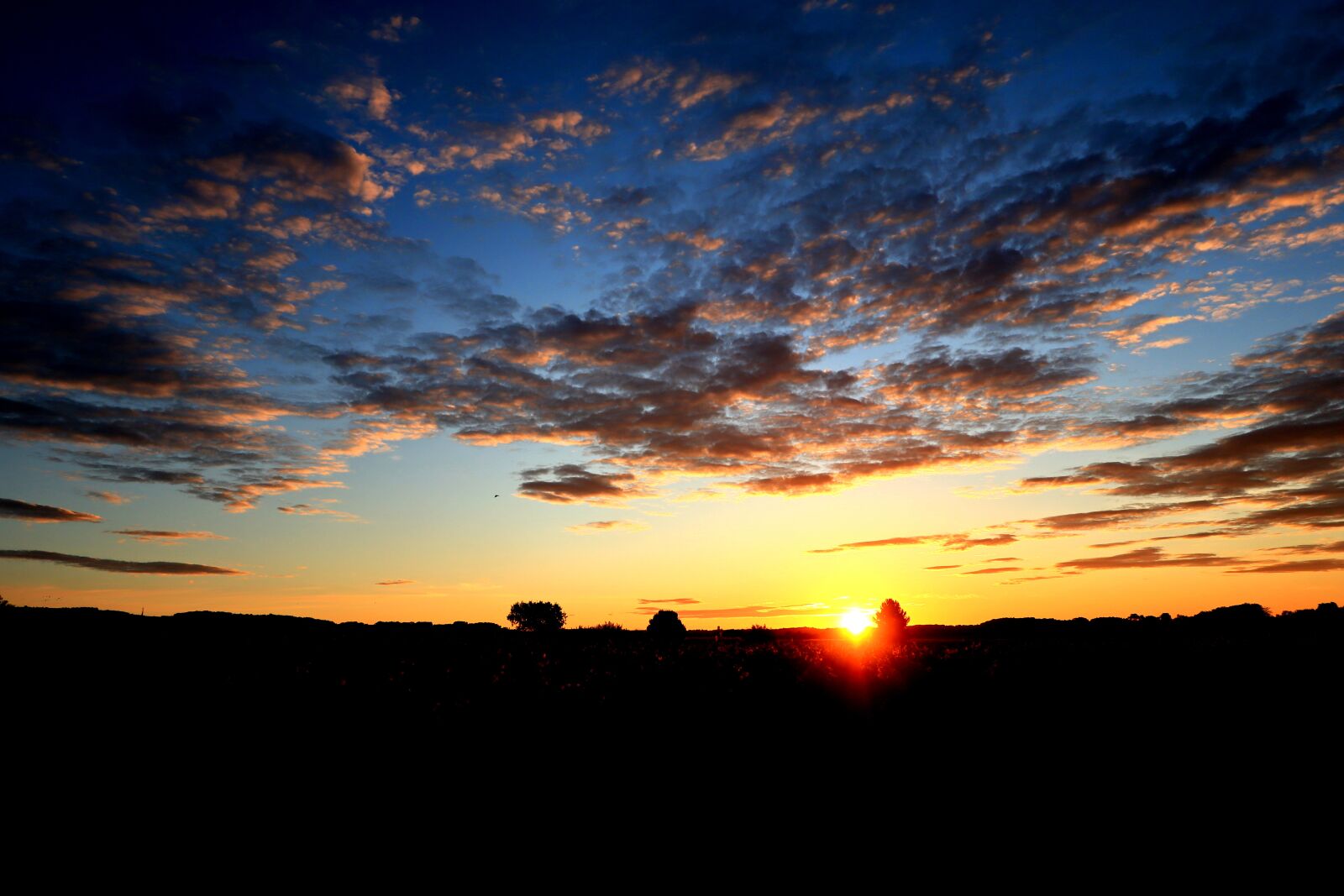 Canon PowerShot G1 X Mark III sample photo. Sunset, nature, clouds photography