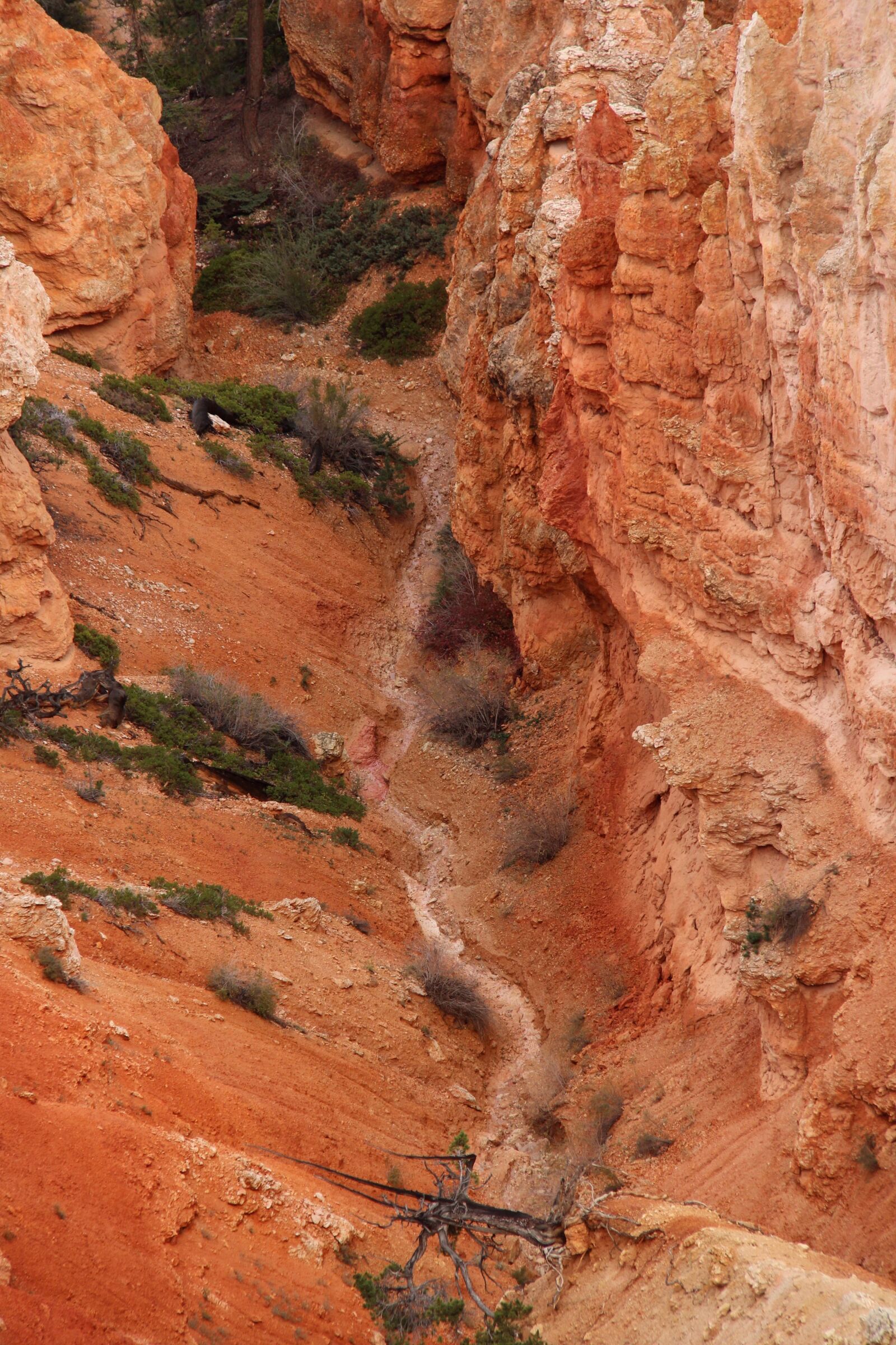Canon EOS 700D (EOS Rebel T5i / EOS Kiss X7i) + Canon EF-S 18-200mm F3.5-5.6 IS sample photo. Bryce canyon, america, mountains photography