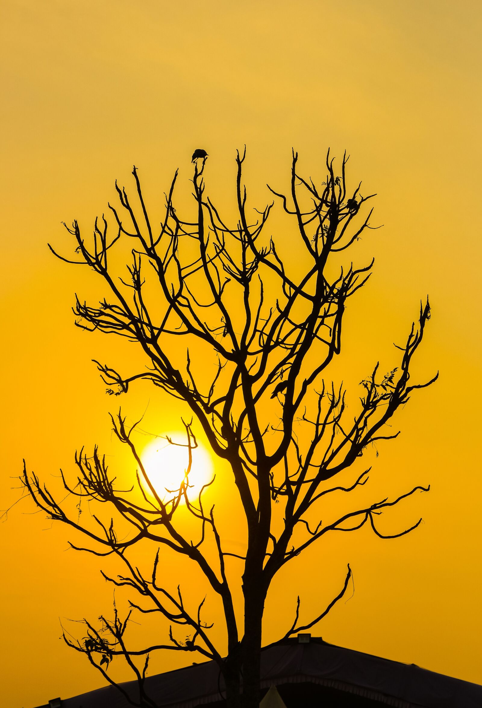 Canon EOS 700D (EOS Rebel T5i / EOS Kiss X7i) sample photo. Sky, seascape, skyline photography