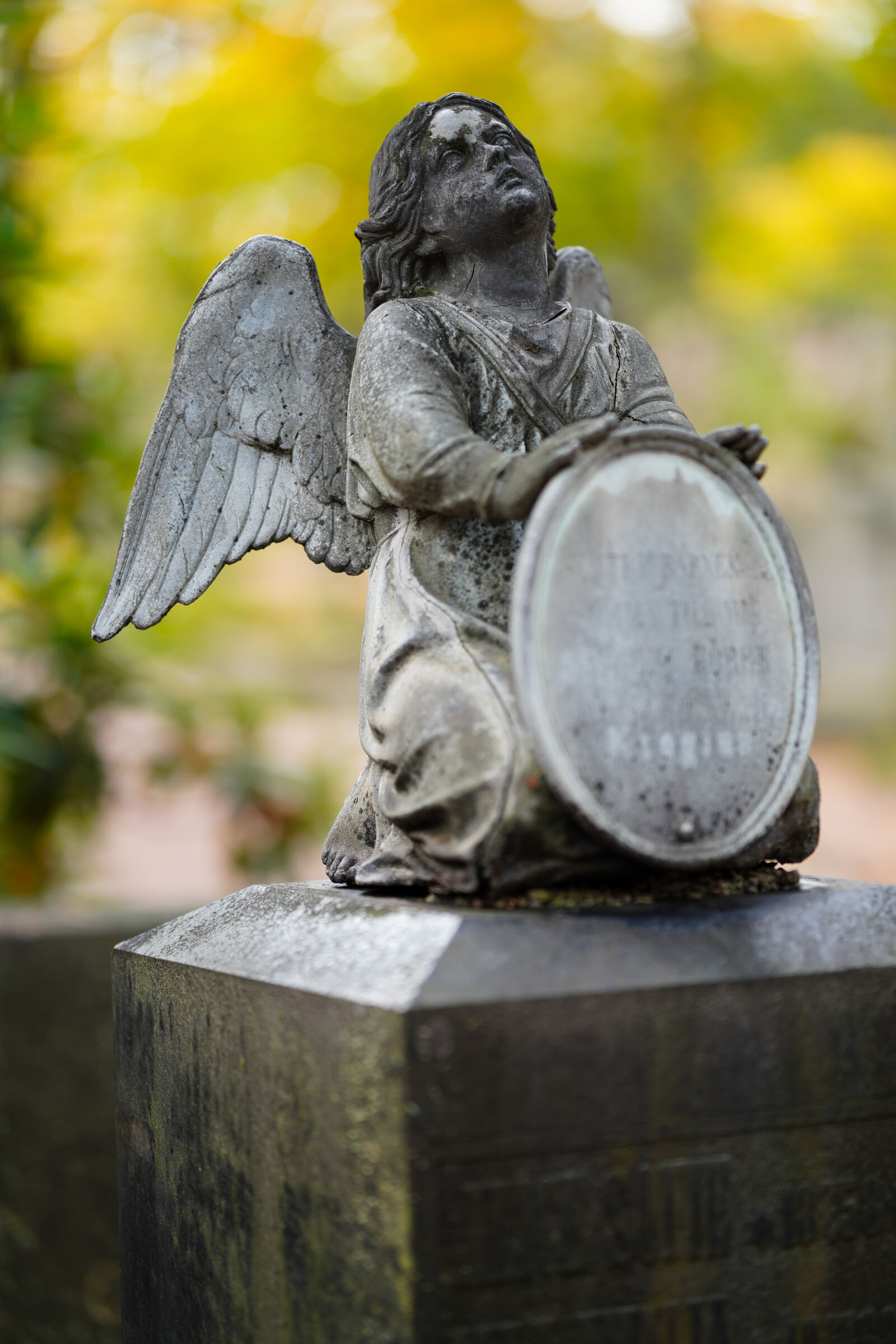 Sony a7R IV sample photo. Cemetery statue photography
