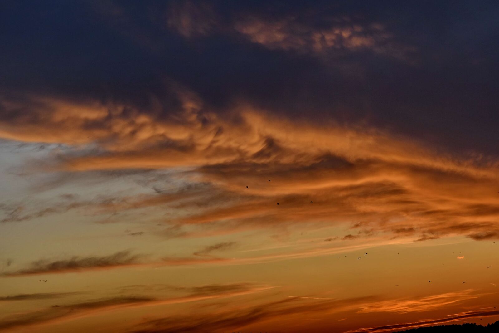 Nikon D5500 sample photo. Cloudy, sky glow, storm photography
