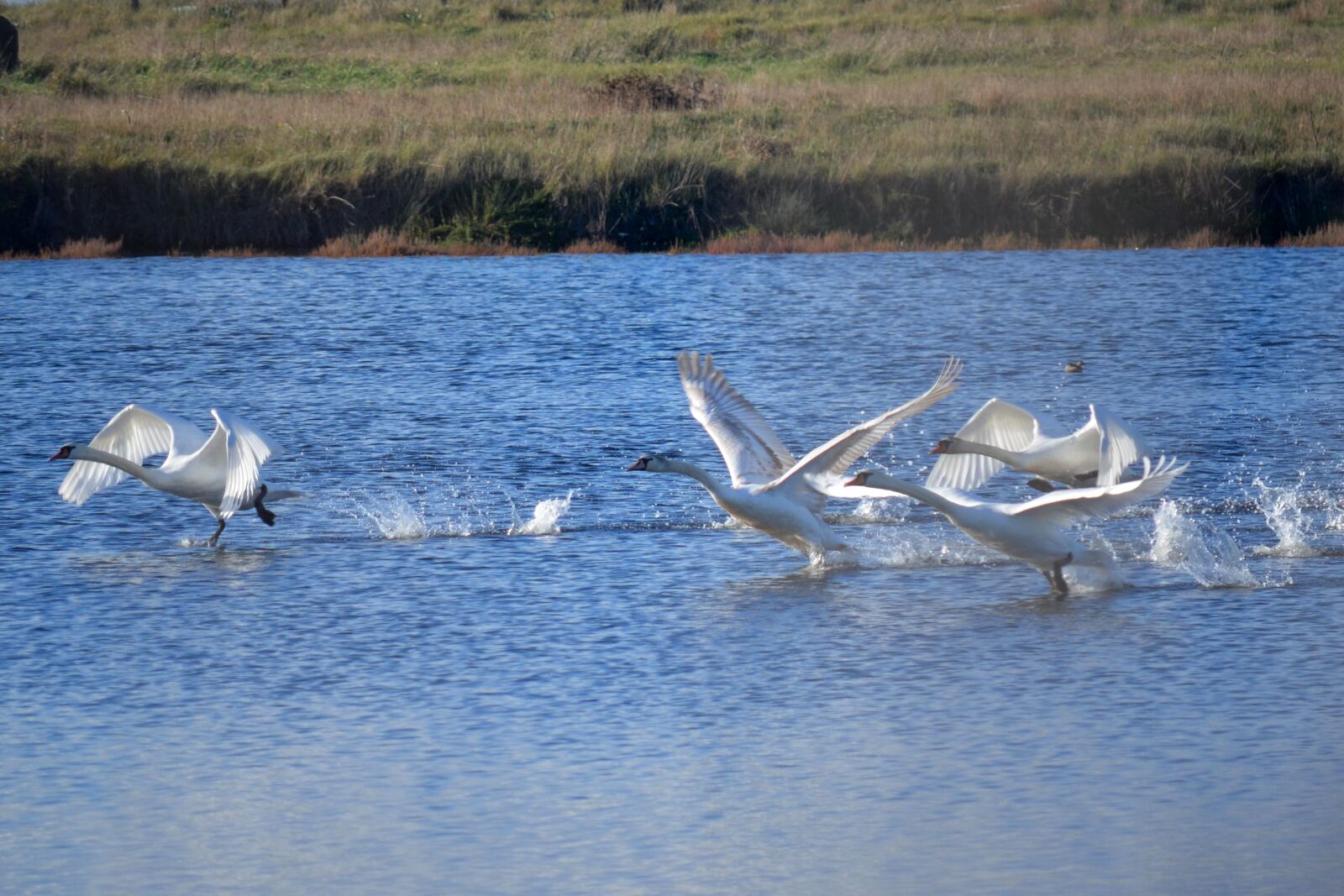 Nikon D5100 sample photo. Water, nature, lake photography