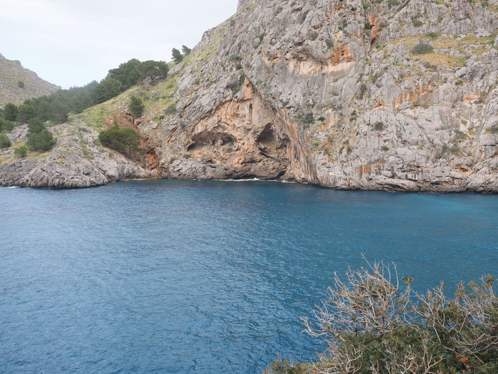 Olympus OM-D E-M1 + Olympus M.Zuiko Digital ED 12-40mm F2.8 Pro sample photo. Bay, sa calobra, bay photography