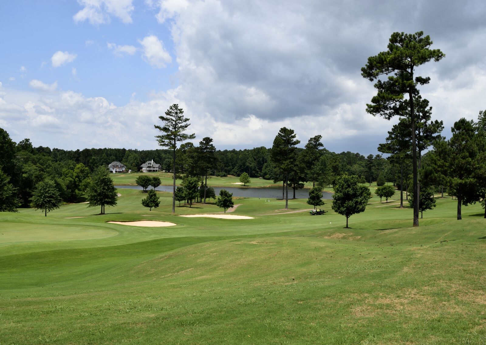 Nikon D3300 sample photo. Golf, grass, course photography