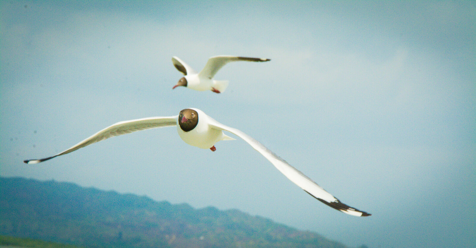Nikon D7100 sample photo