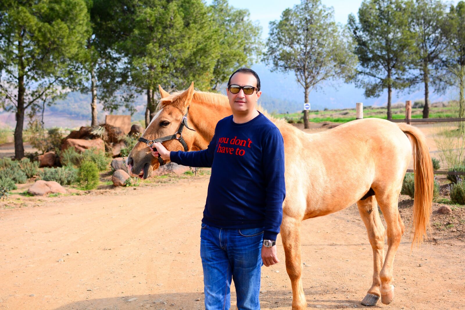 Nikon D7100 sample photo. Horse, atlas, mountains photography