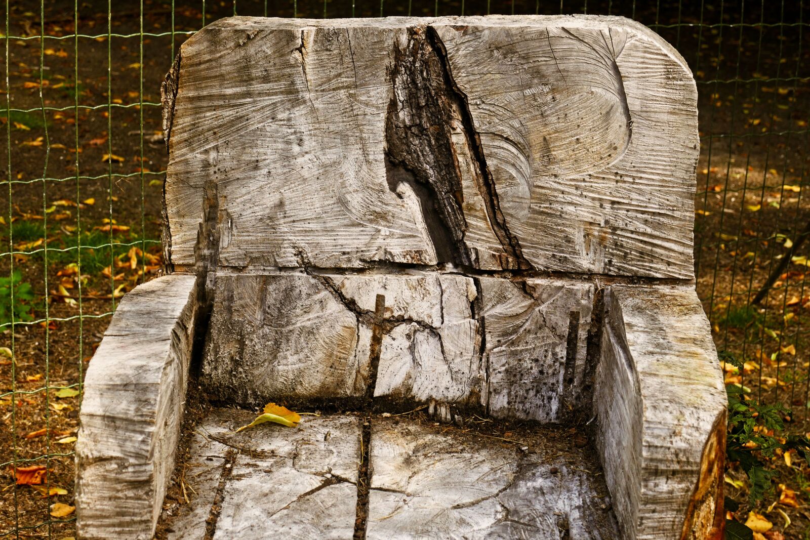 Panasonic Lumix DMC-FZ1000 sample photo. Tree trunk, chair, wood photography