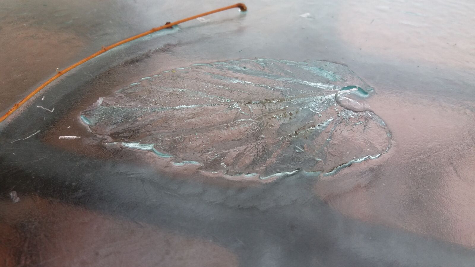 Samsung Galaxy J5 sample photo. Leaf, ice, footprint photography