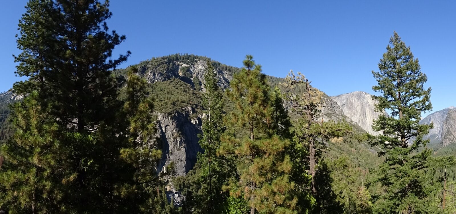 Sony DSC-HX60V sample photo. Valley, vegetation, incense cedar photography