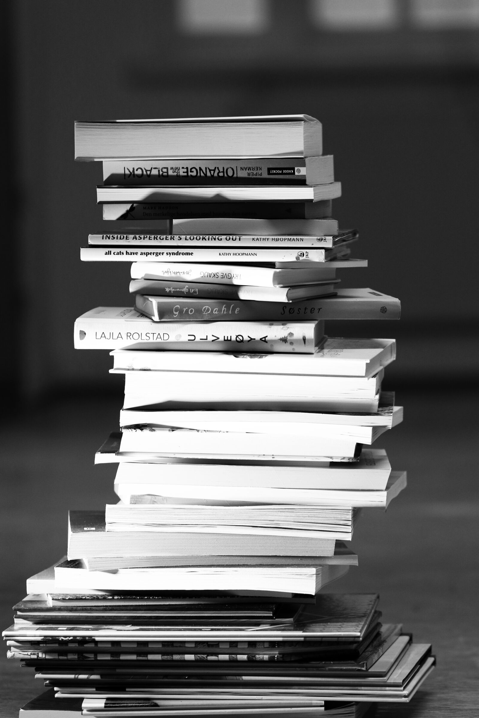 Canon EOS 7D Mark II sample photo. Books, reading, literature photography
