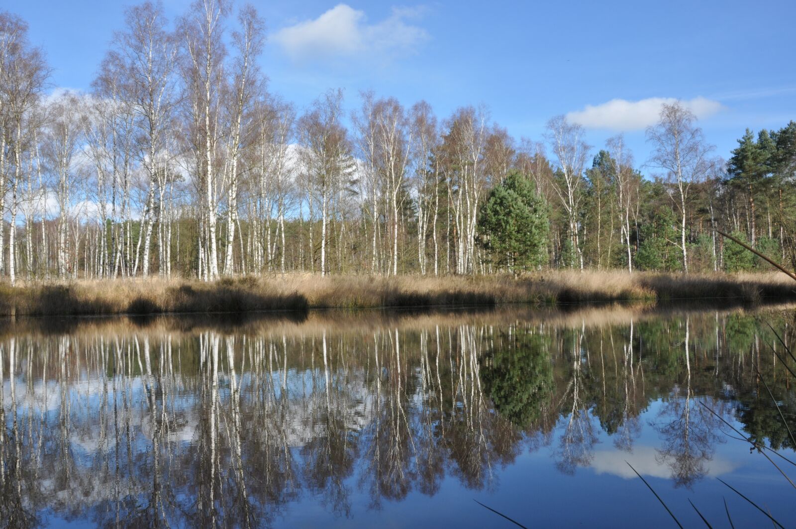 Nikon D90 sample photo. Nature, water, landscape photography